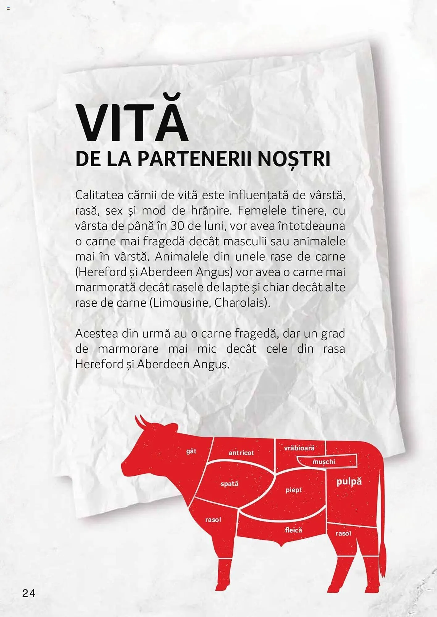 Catalog Selgros catalog de la 27 aprilie până la 31 decembrie 2023 - Revista Pagina 24