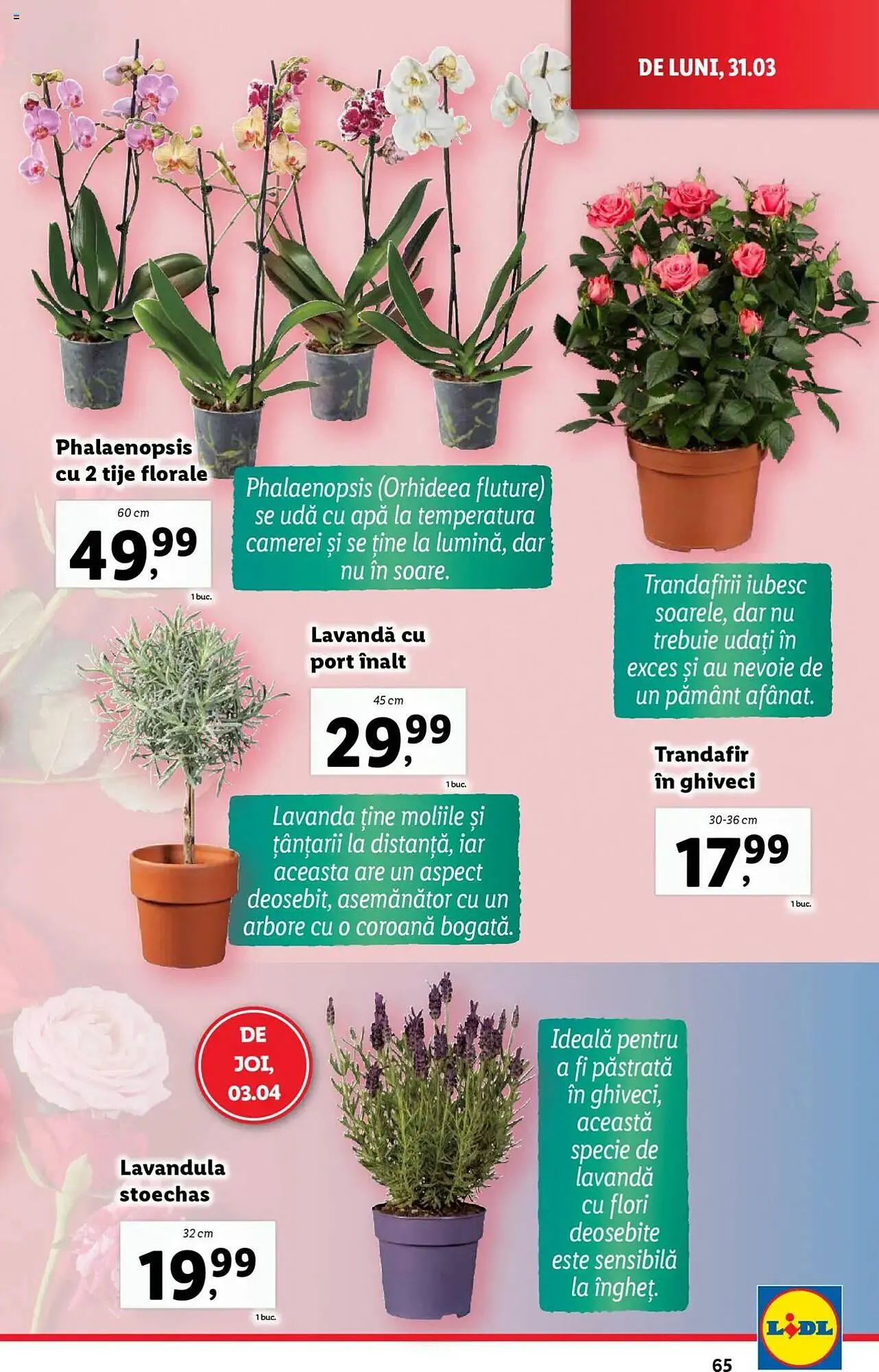 Catalog Catalog Lidl de la 31 martie până la 6 aprilie 2025 - Revista Pagina 159