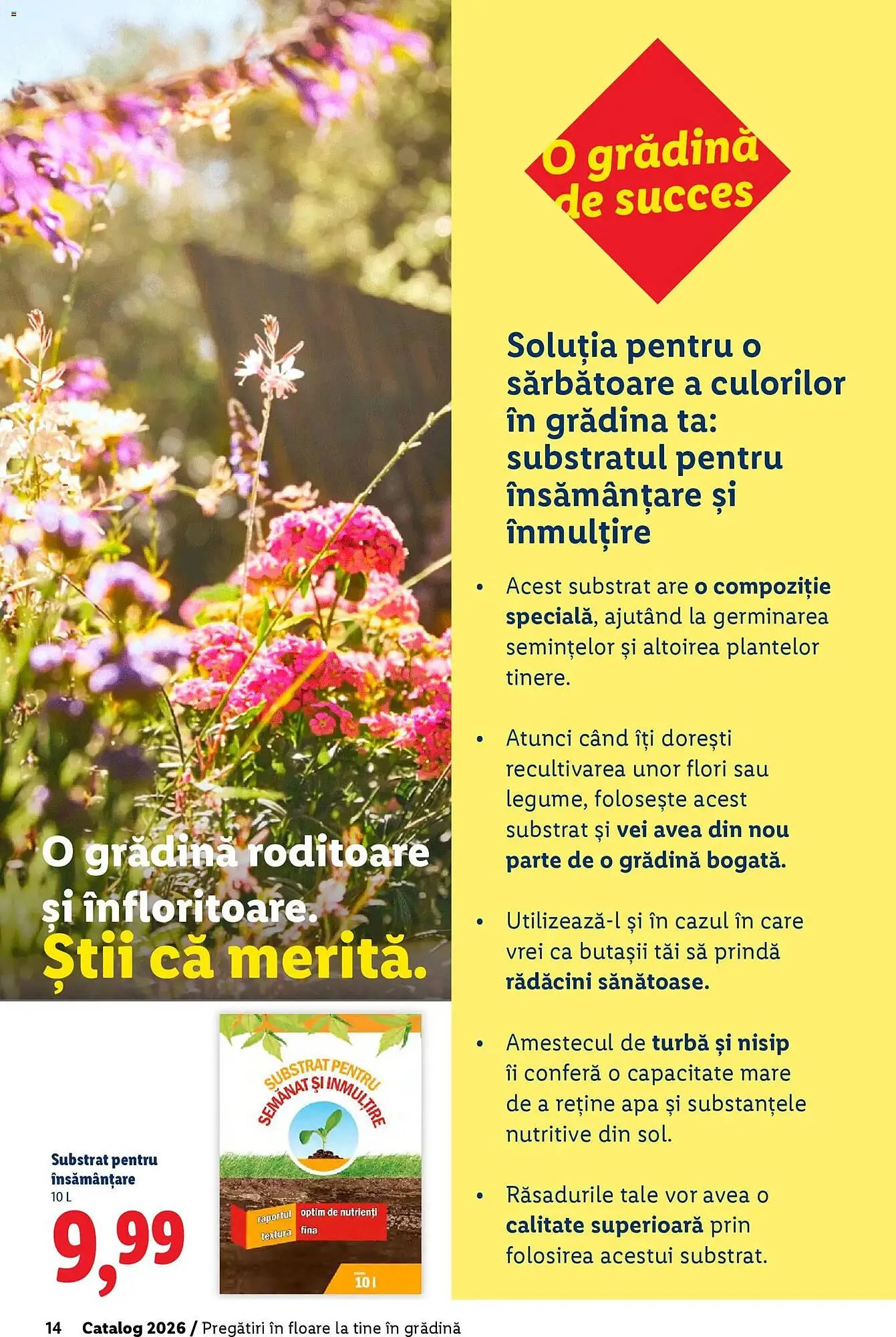 Catalog Catalog Lidl de la 18 februarie până la 5 aprilie 2026 - Revista Pagina 14