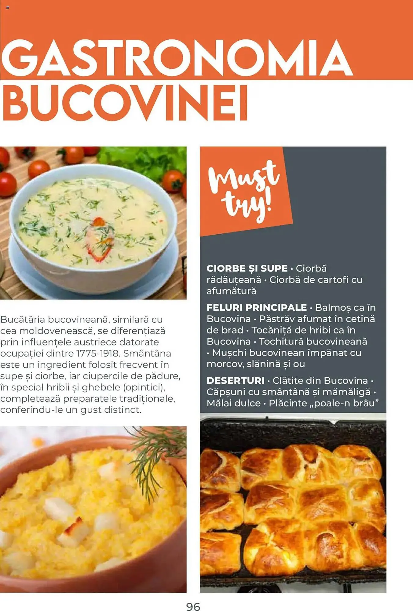 Catalog Catalog Metro de la 31 iulie până la 31 decembrie 2026 - Revista Pagina 96