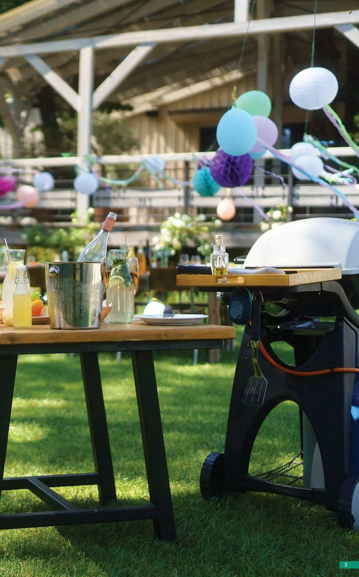 Catalog Catalog Selgros de la 17 aprilie până la 14 mai 2026 - Revista Pagina 3