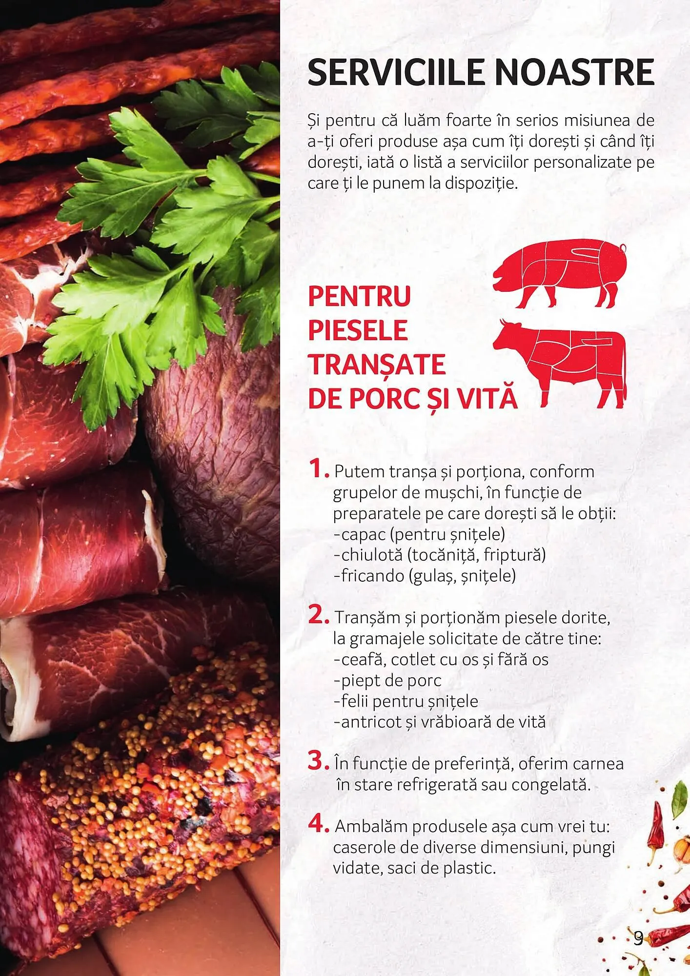 Catalog Catalog Selgros de la 3 octombrie până la 30 noiembrie 2025 - Revista Pagina 9