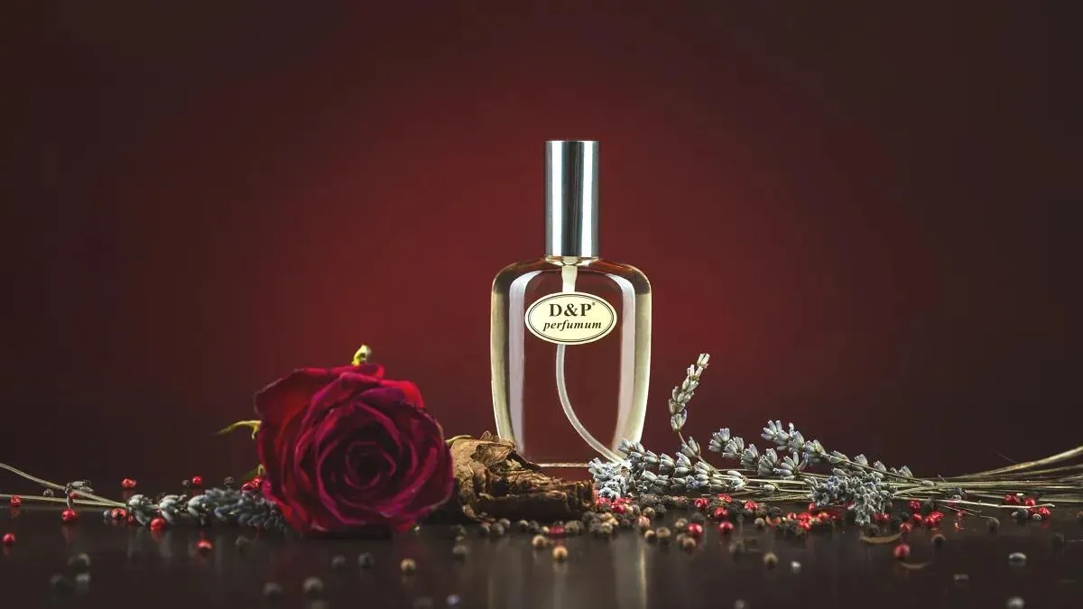 Z5 - Eau de parfum bărbați