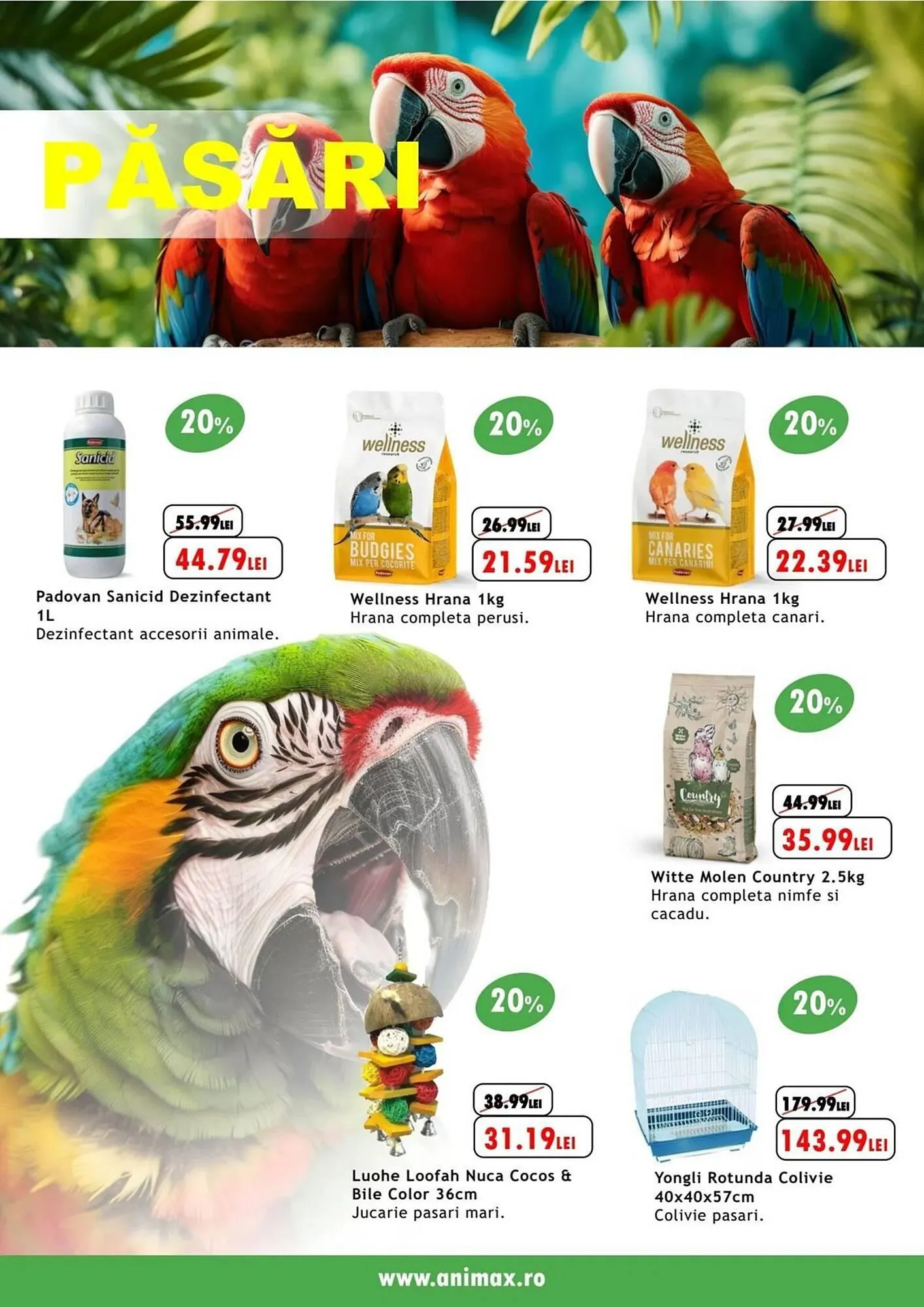 Catalog Catalog Animax de la 1 august până la 1 septembrie 2024 - Revista Pagina 23