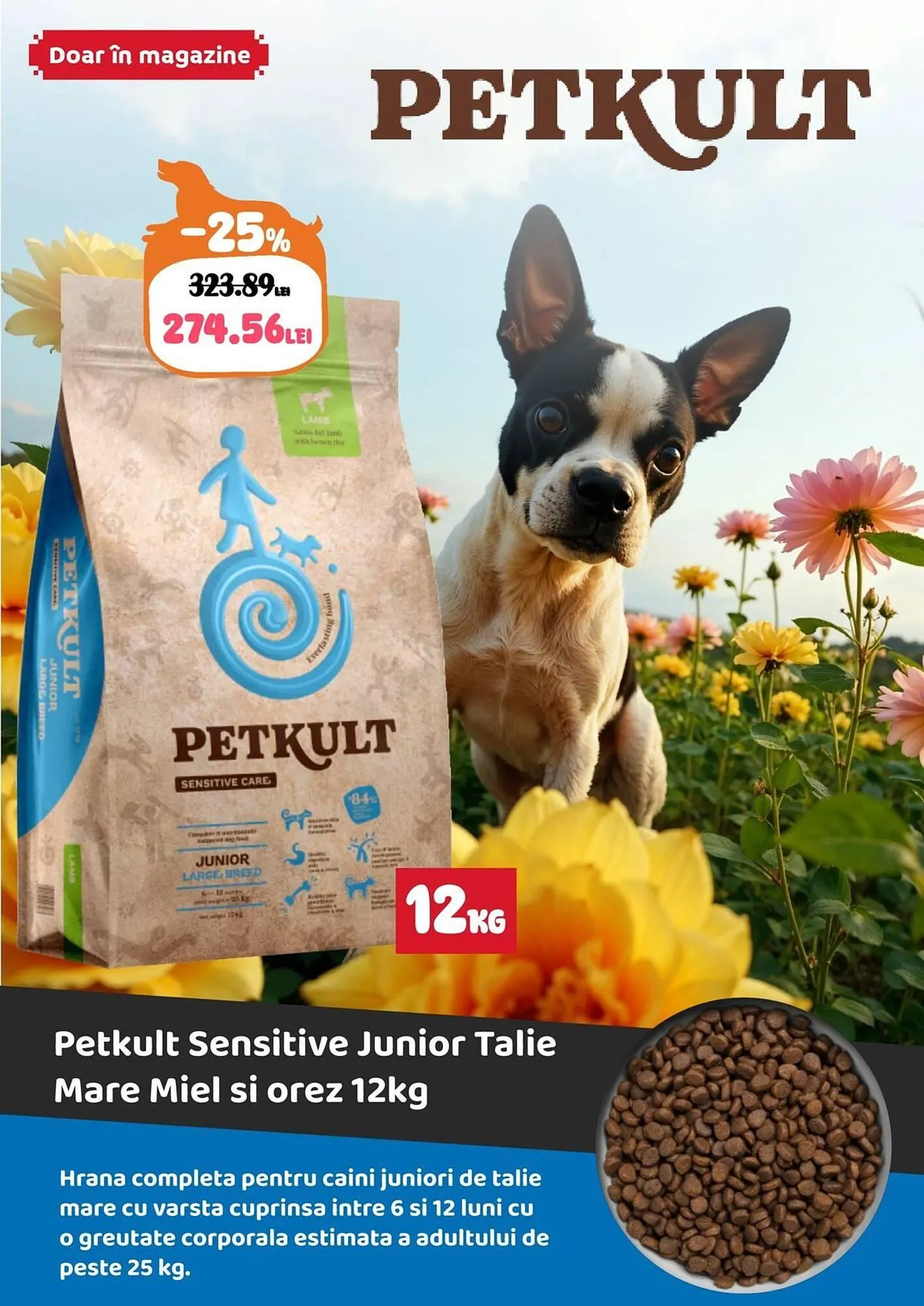 Catalog Magazine Animax de la 1 aprilie până la 30 aprilie 2026 - Revista Pagina 6