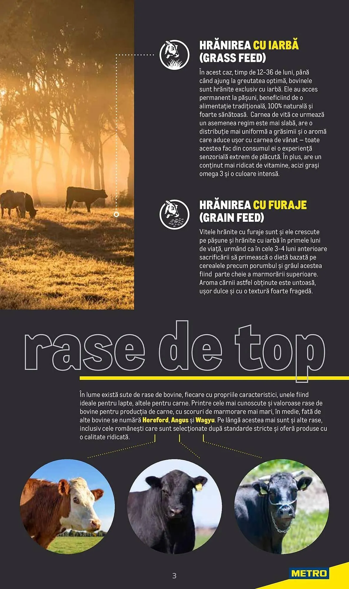 Catalog Catalog Metro de la 9 aprilie până la 31 decembrie 2025 - Revista Pagina 3