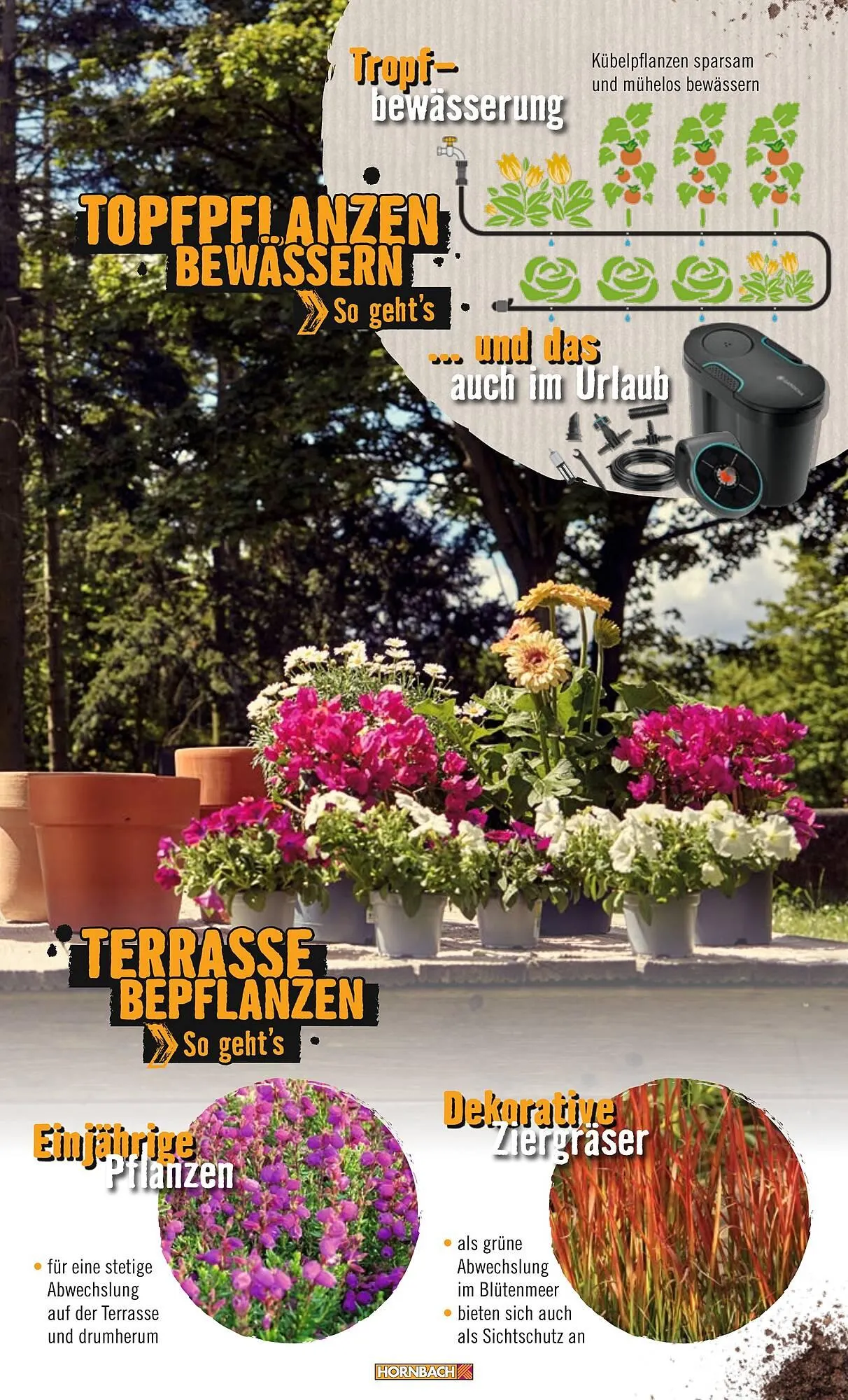 Catalog Hornbach catalog de la 21 iunie până la 31 decembrie 2024 - Revista Pagina 37