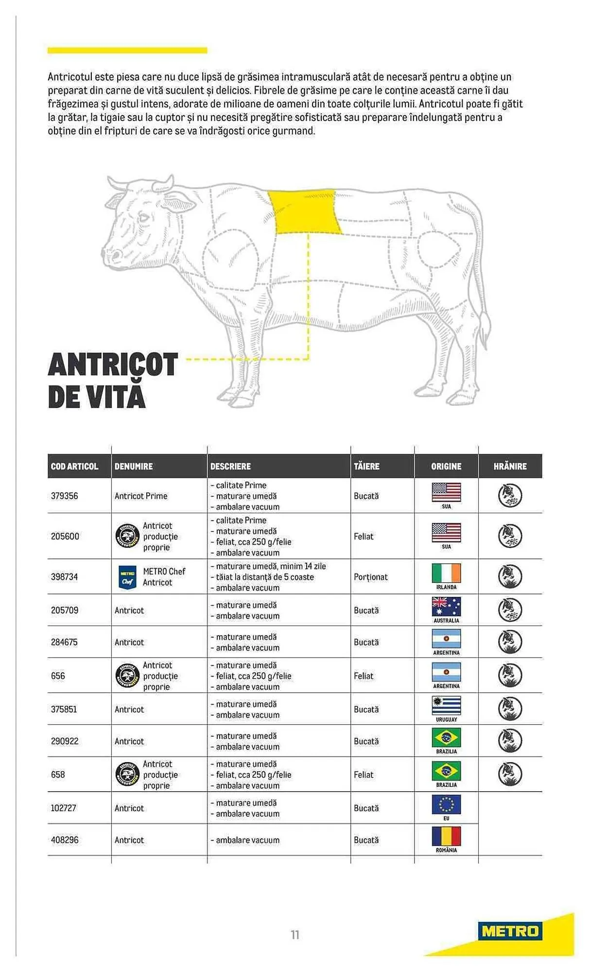 Catalog Metro catalog de la 20 iulie până la 31 decembrie 2023 - Revista Pagina 11