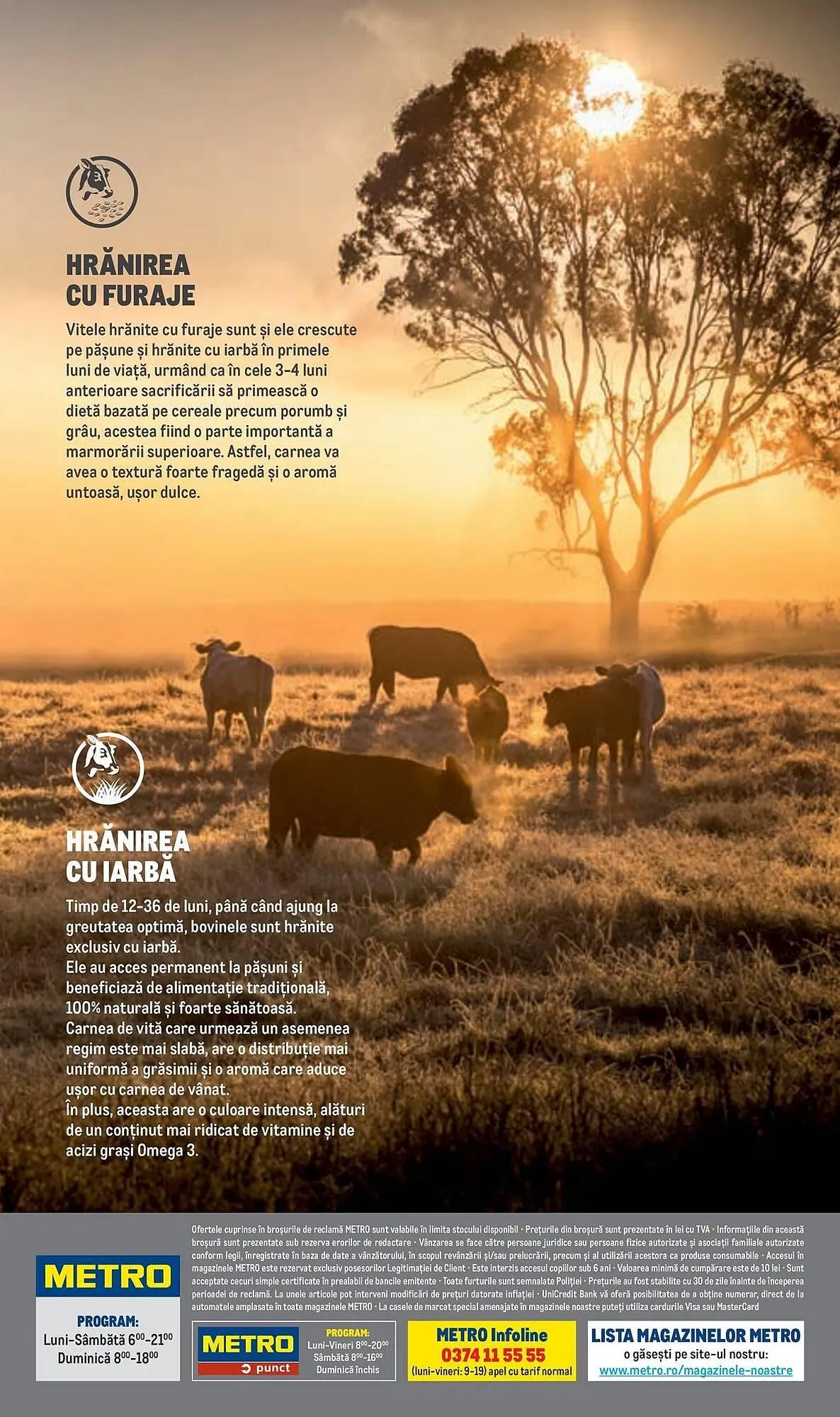 Catalog Catalog Metro de la 9 aprilie până la 31 decembrie 2025 - Revista Pagina 20