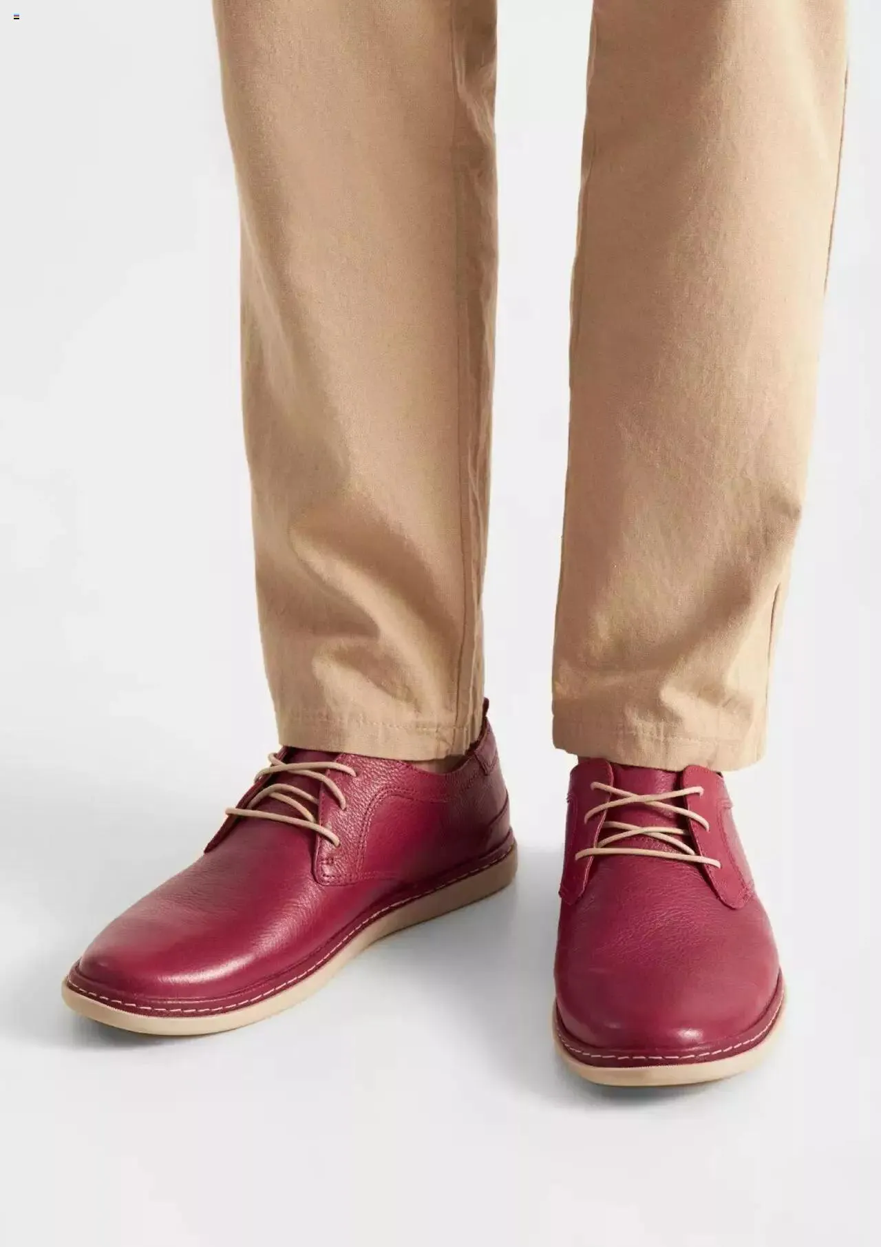 Catalog Catalog CCC de la 1 aprilie până la 31 decembrie 2024 - Revista Pagina 12