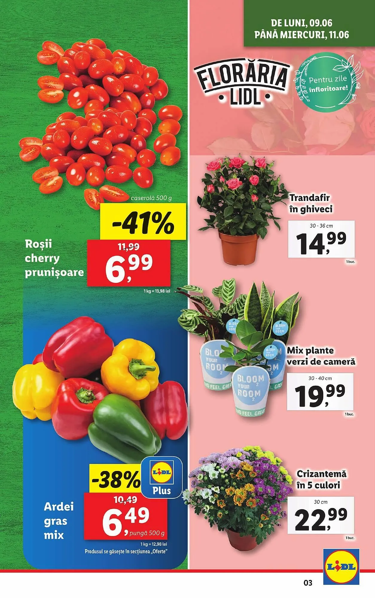 Catalog Catalog Lidl de la 9 iunie până la 15 iunie 2025 - Revista Pagina 3