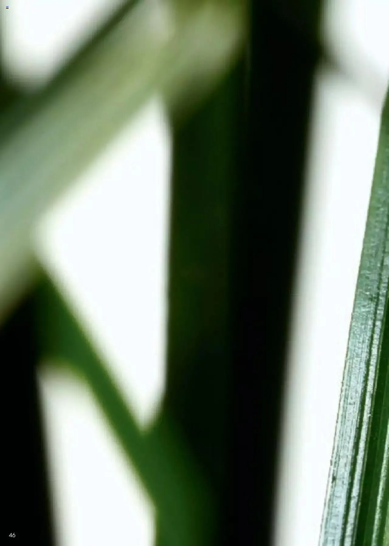 Catalog Oriflame catalog - Ghidul NOVAGE+ de la 1 martie până la 31 decembrie 2023 - Revista Pagina 46