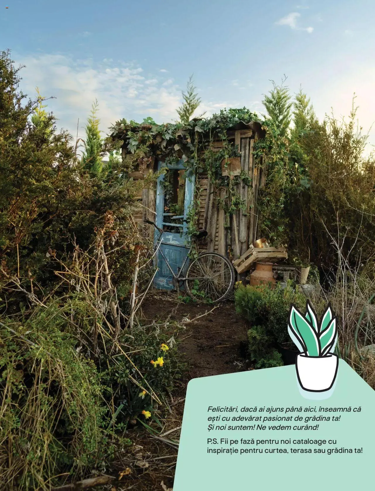 Catalog Brico Depot catalog - Grădină de la 7 aprilie până la 30 septembrie 2023 - Revista Pagina 42