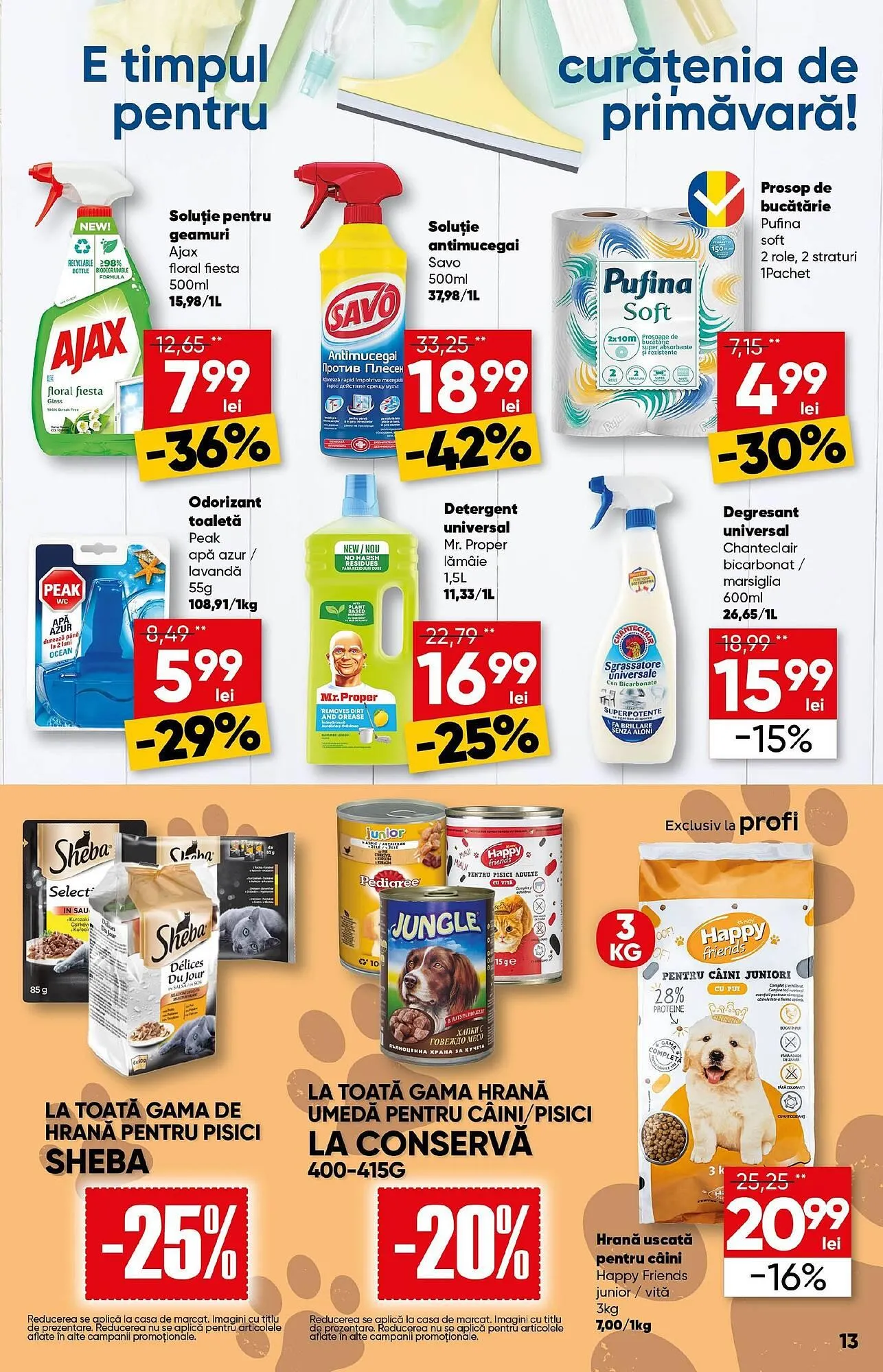 Catalog Catalog PROFI de la 5 martie până la 18 martie 2025 - Revista Pagina 13