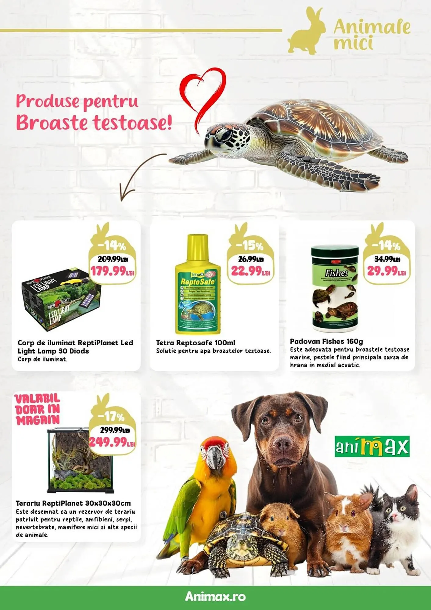 Catalog Catalog Animax de la 5 noiembrie până la 19 noiembrie 2024 - Revista Pagina 15