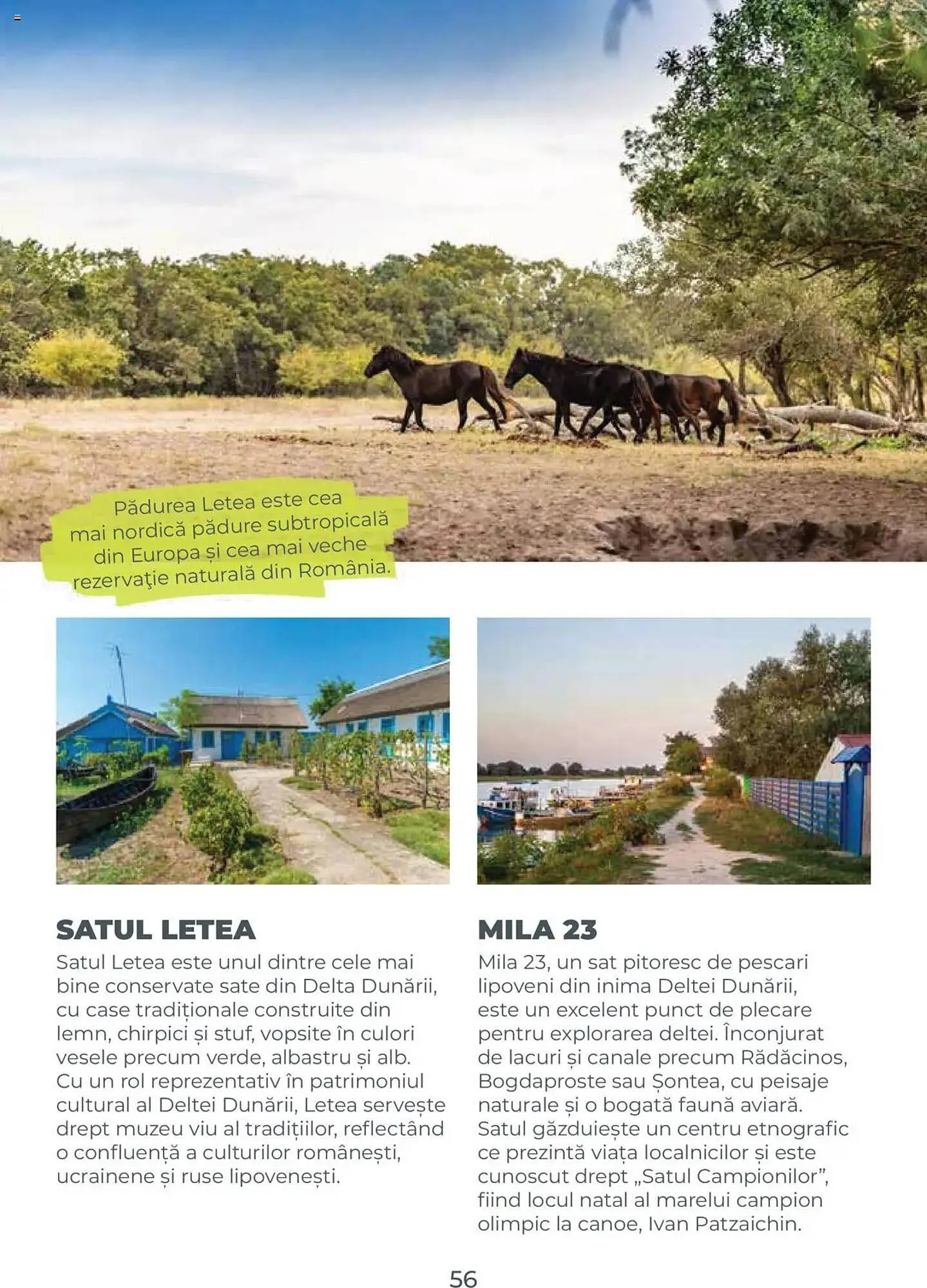 Catalog Catalog Metro de la 31 iulie până la 31 decembrie 2026 - Revista Pagina 56