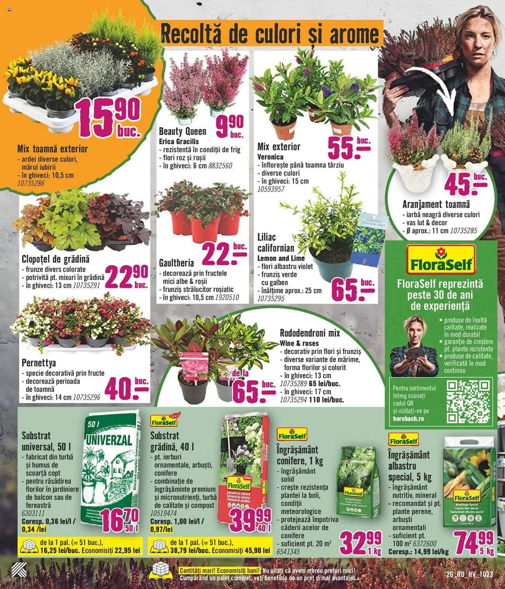 Catalog Hornbach catalog de la 2 octombrie până la 5 noiembrie 2023 - Revista Pagina 26