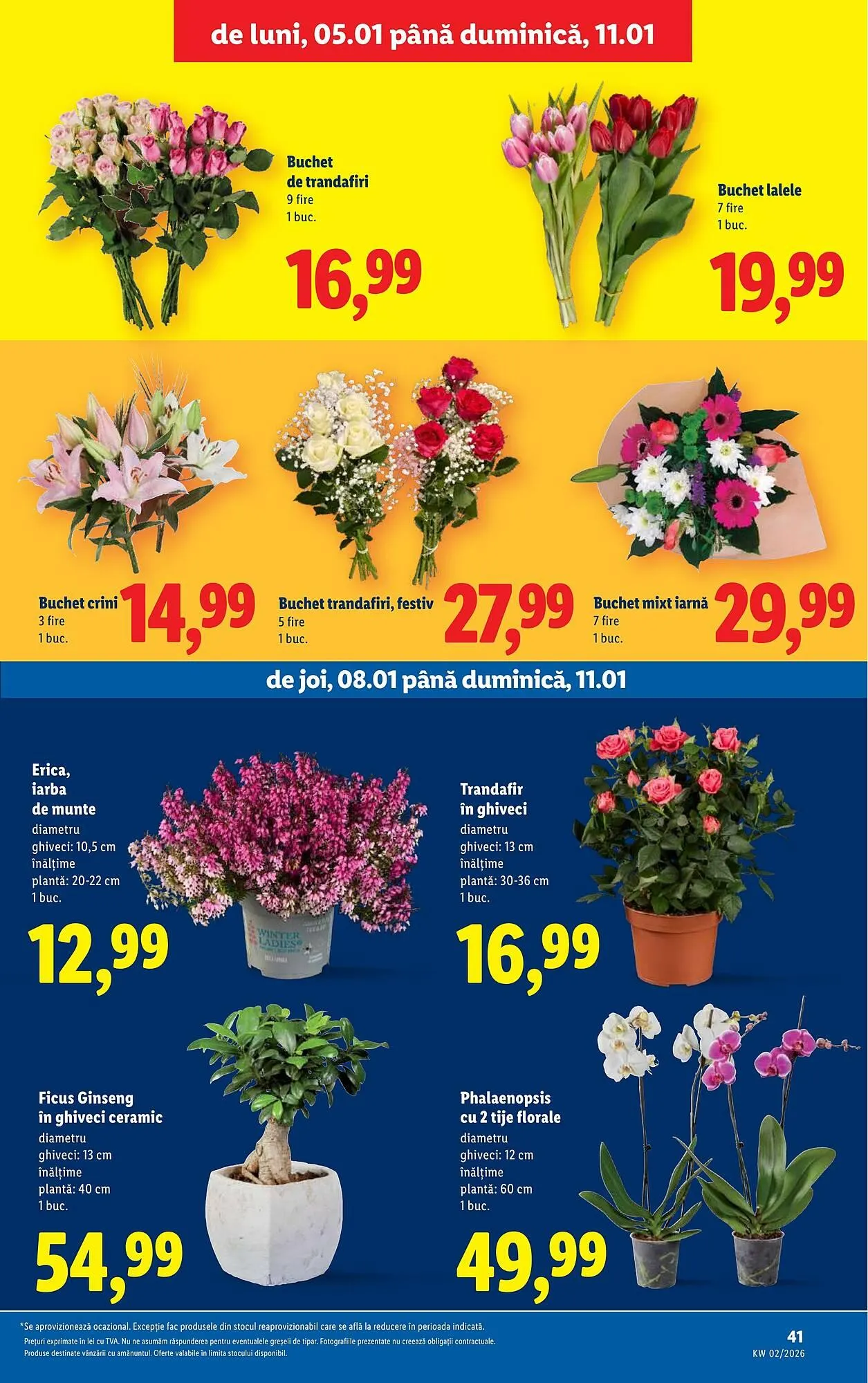 Catalog Catalog Lidl de la 5 ianuarie până la 11 ianuarie 2026 - Revista Pagina 41