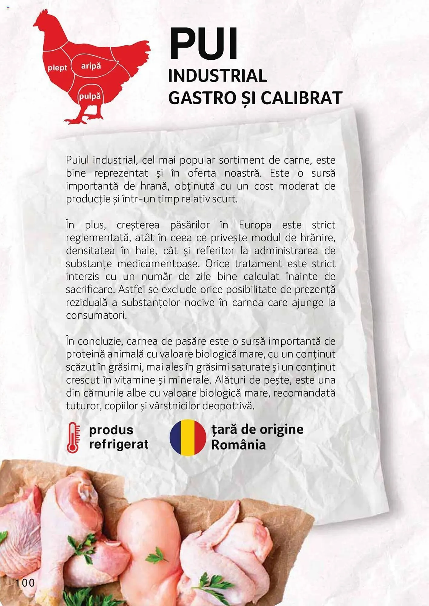 Catalog Selgros catalog de la 27 aprilie până la 31 decembrie 2023 - Revista Pagina 100