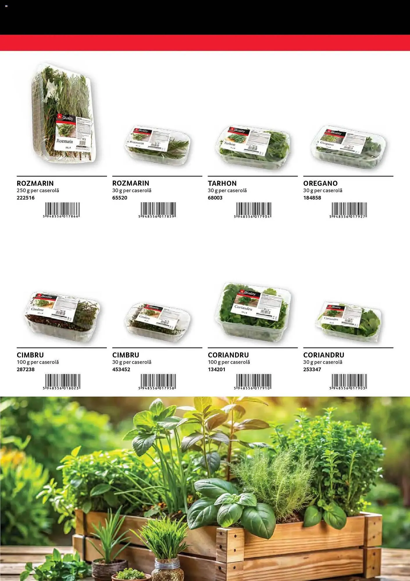 Catalog Catalog Selgros de la 29 ianuarie până la 31 ianuarie 2027 - Revista Pagina 27