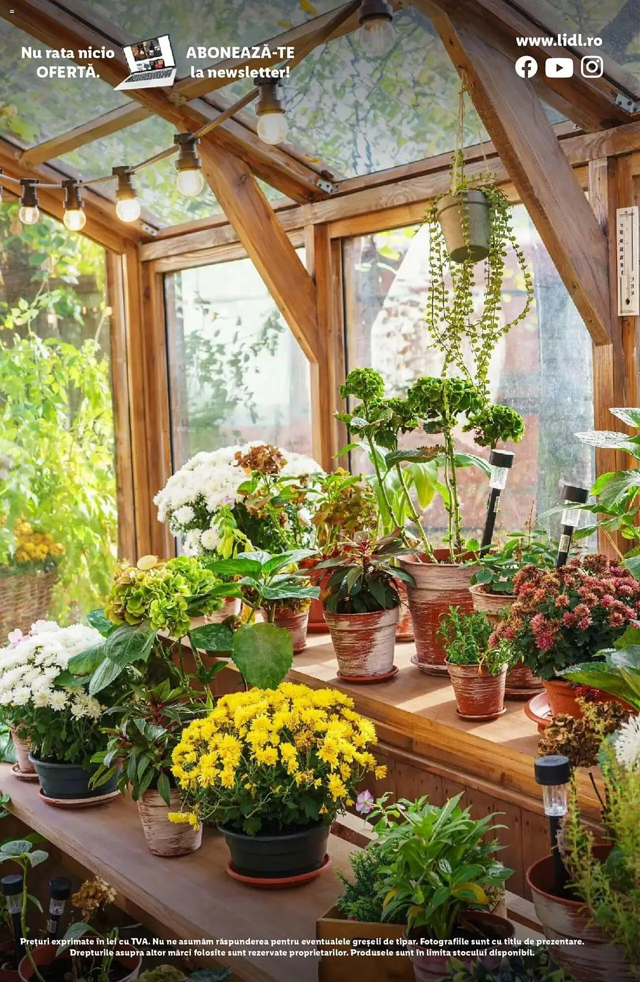 Catalog Catalog Lidl de la 24 februarie până la 13 aprilie 2025 - Revista Pagina 52