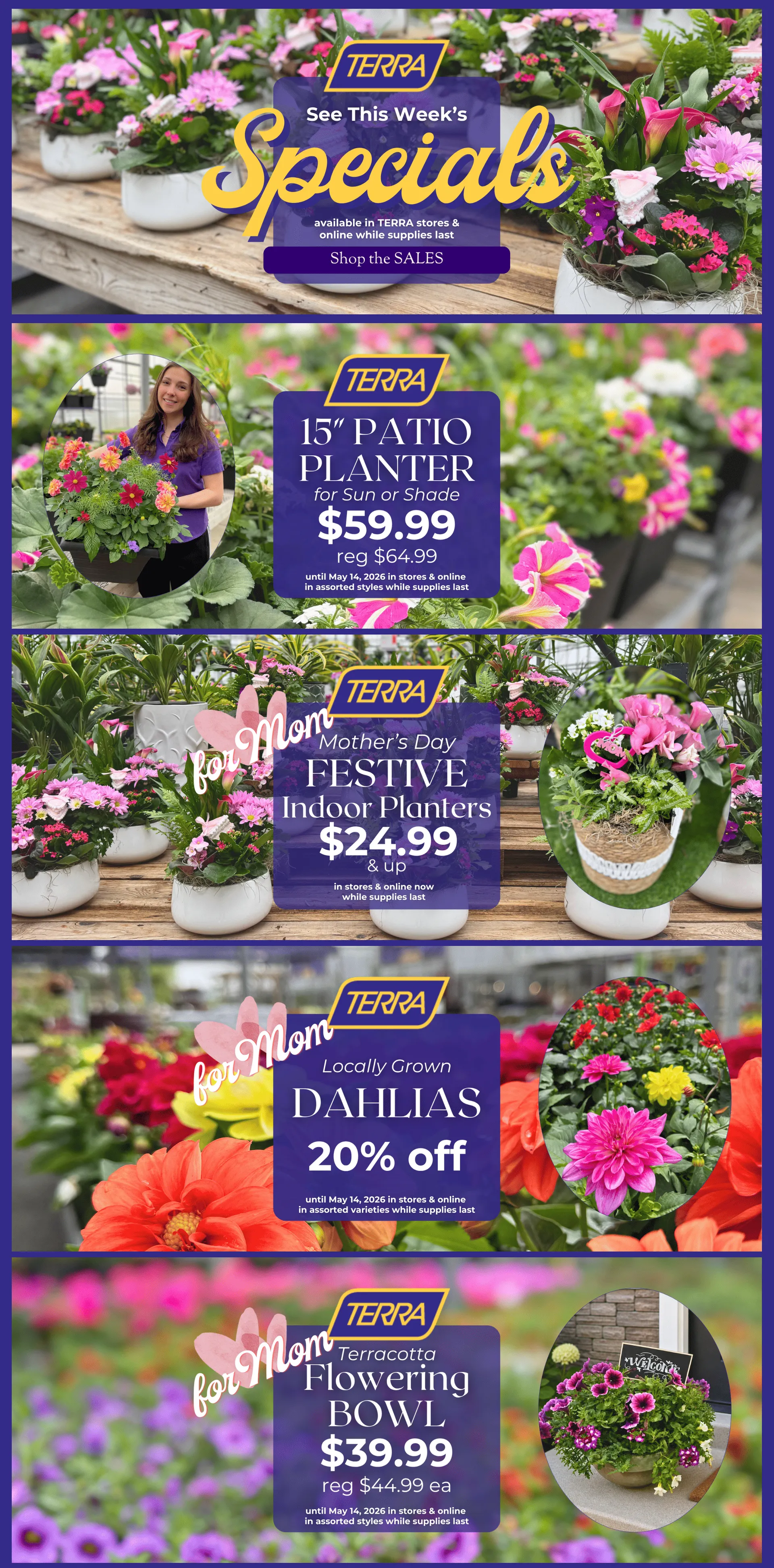 Weekly ads from May 8 to May 15 2026 - flyer page 1