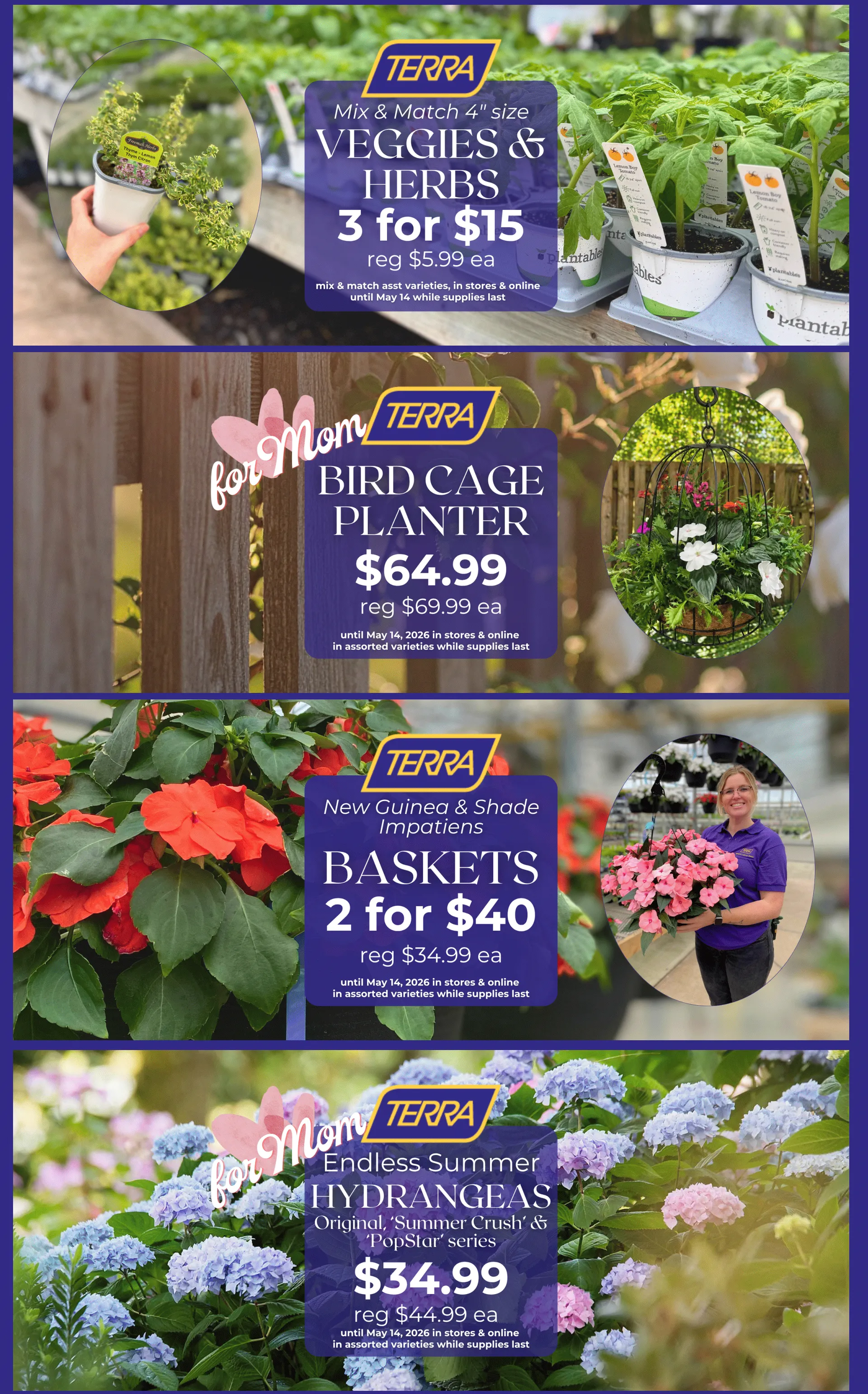 Weekly ads from May 8 to May 15 2026 - flyer page 4
