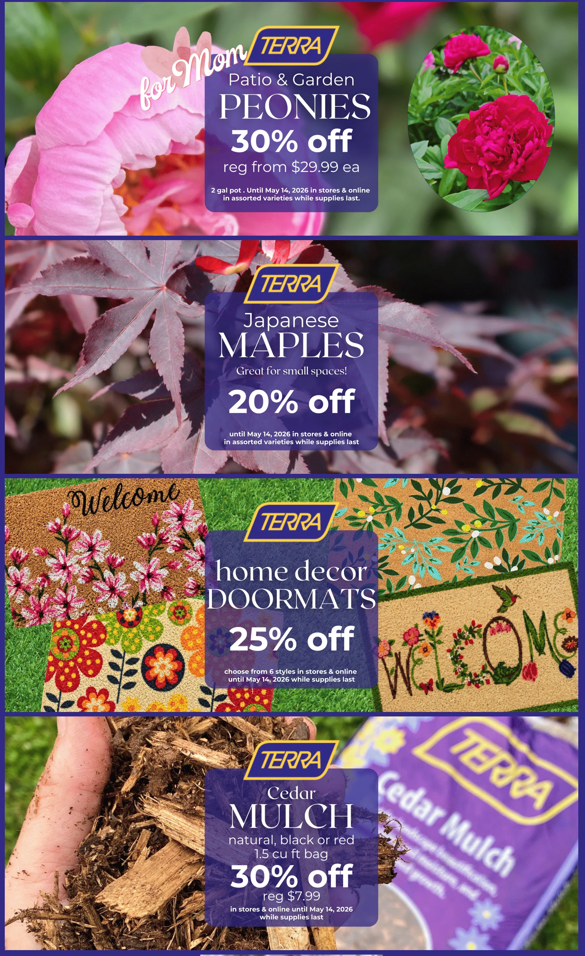 Weekly ads from May 8 to May 15 2026 - flyer page 3