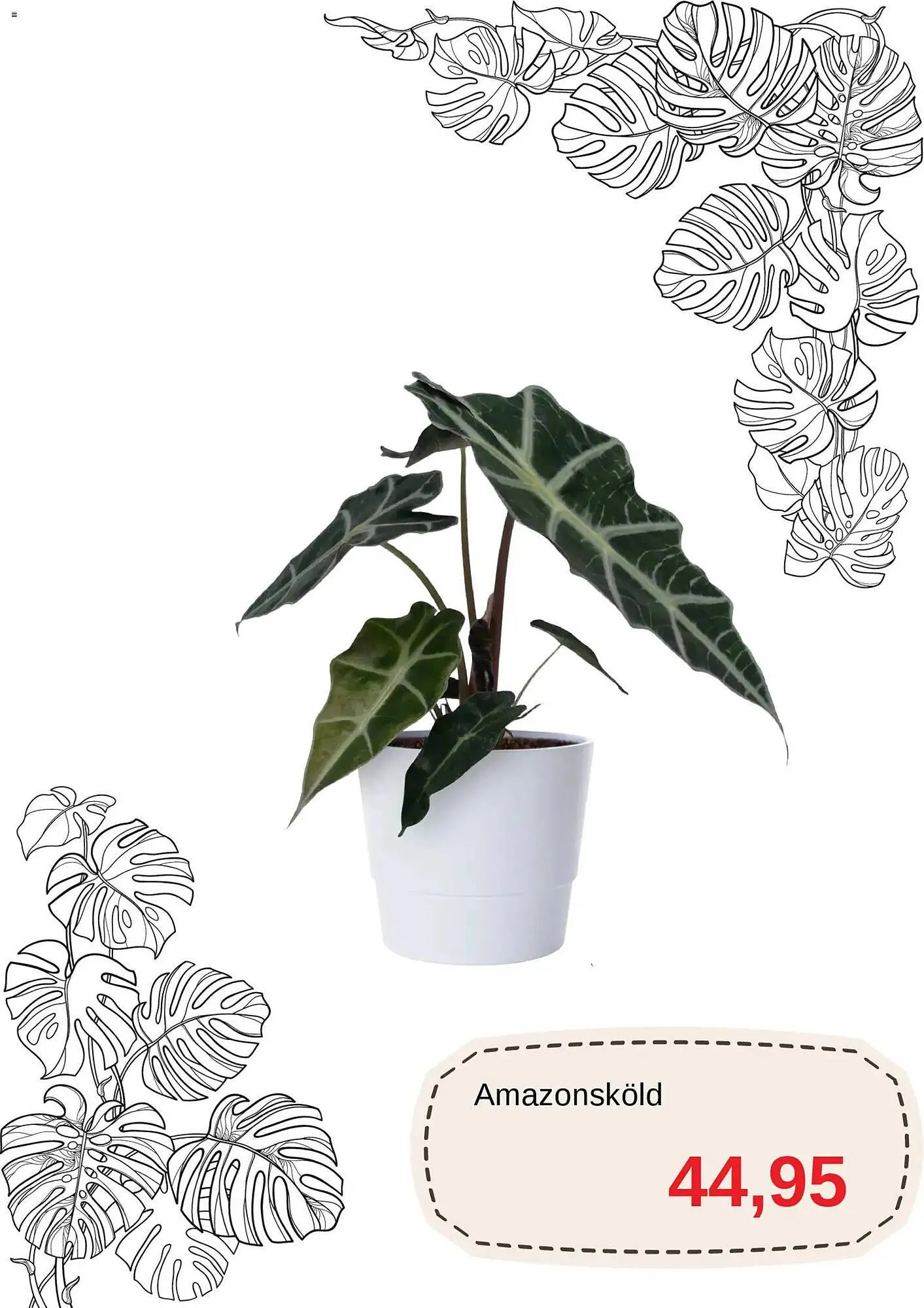 Blomsterlandet reklamblad från 1 november till 16 november 2025 - Reklamblad sidor 4