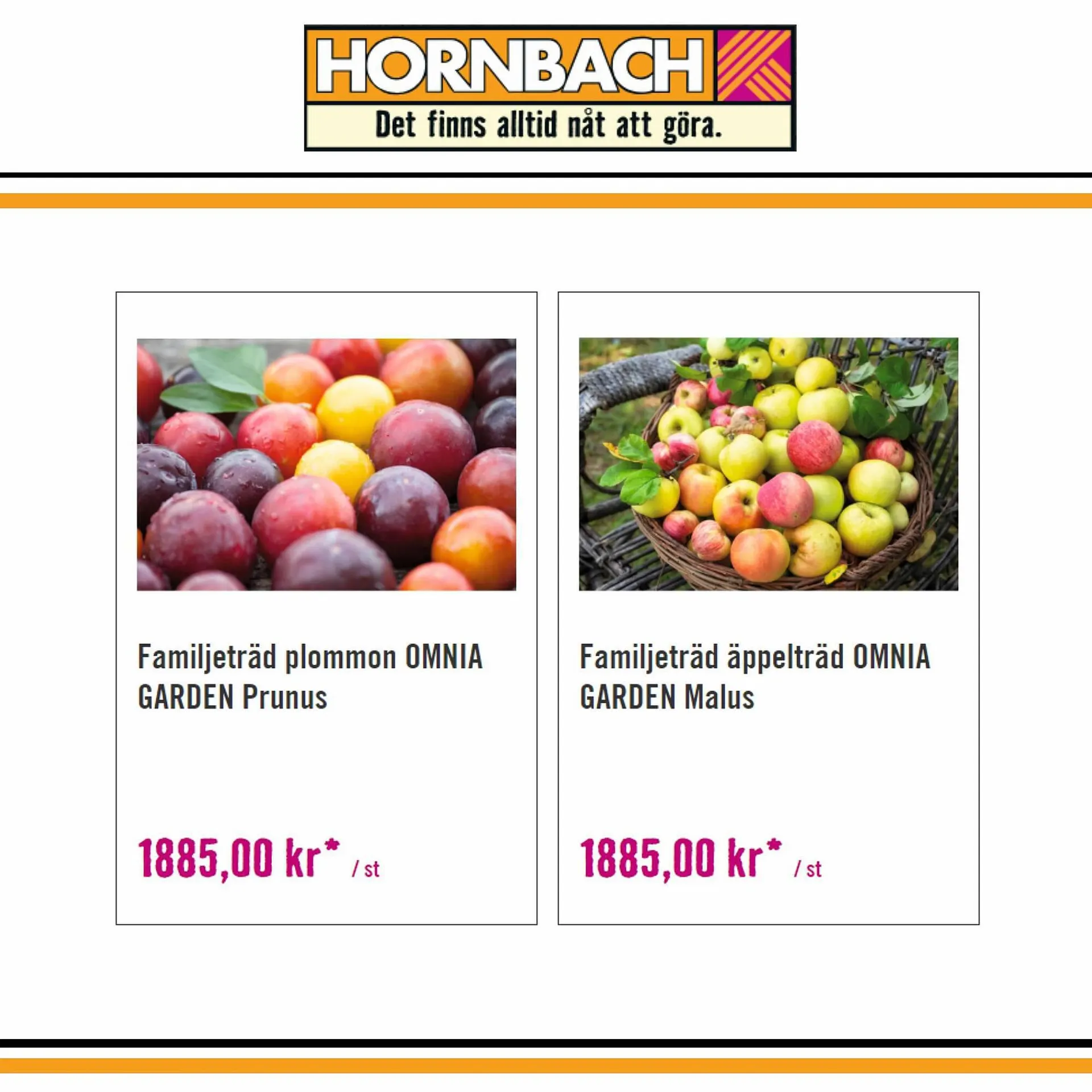 Hornbach reklamblad från 26 oktober till 1 november 2023 - Reklamblad sidor 2