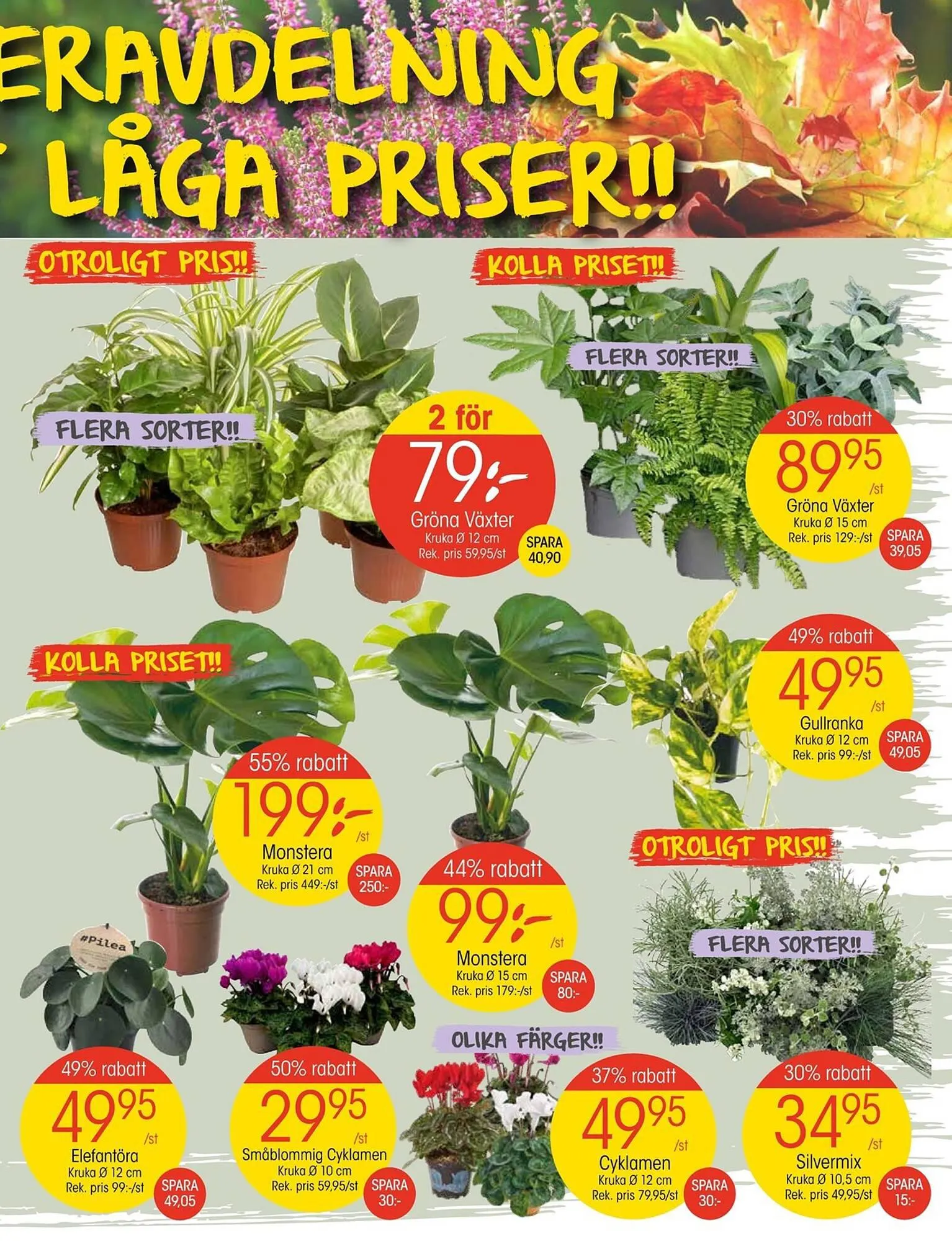 EKO reklamblad från 18 september till 24 september 2023 - Reklamblad sidor 3