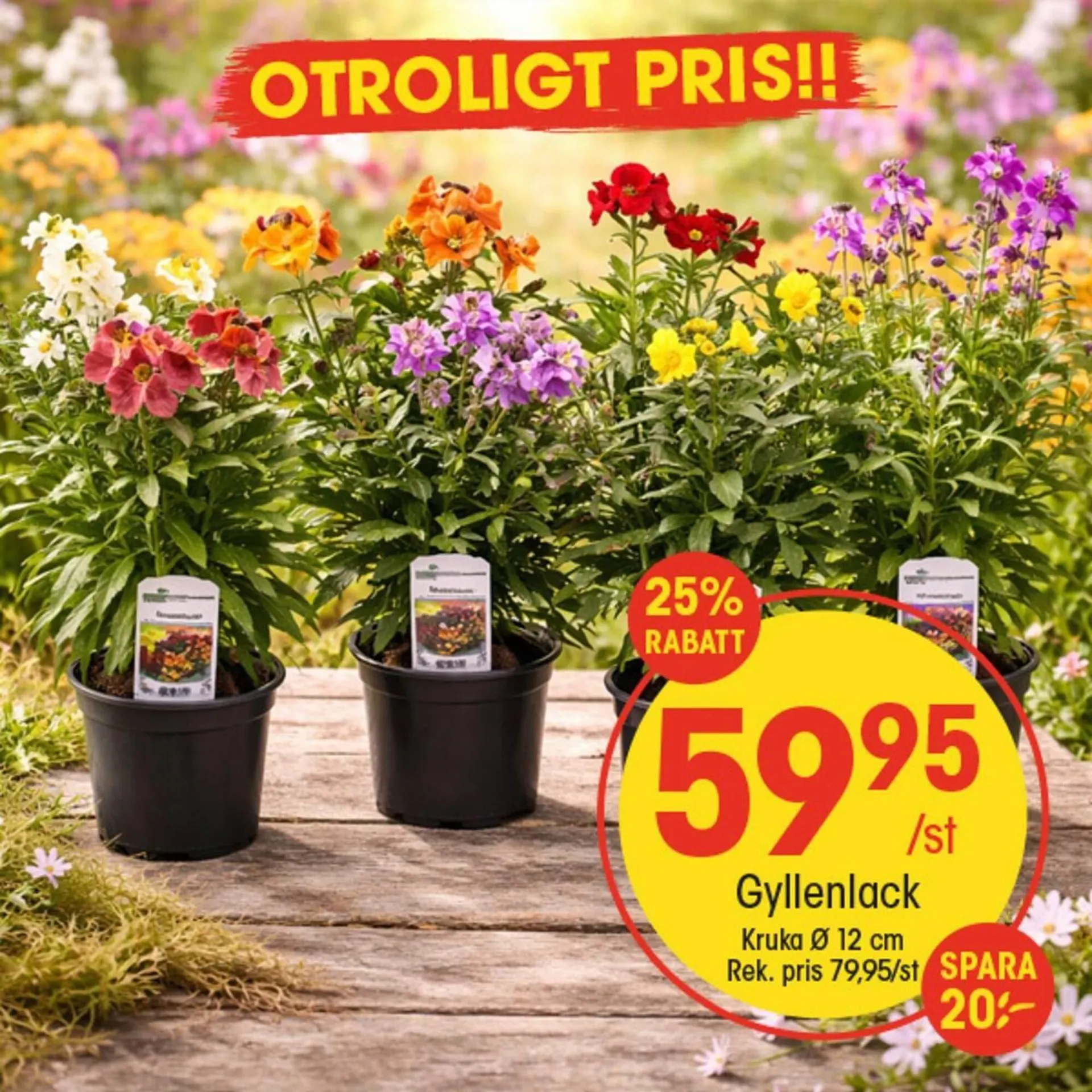 EKO reklamblad från 23 mars till 6 april 2026 - Reklamblad sidor 2