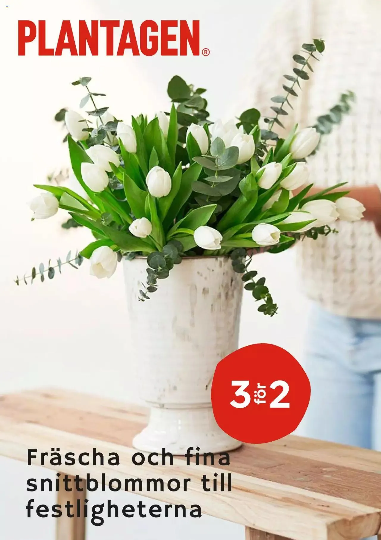 Plantagen - erbjudanden från 27 december till 4 januari 2024 - Reklamblad sidor