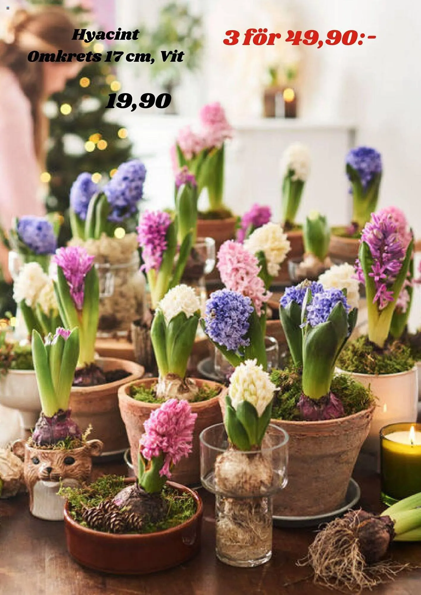 Plantagen reklamblad från 30 november till 17 december 2023 - Reklamblad sidor 4