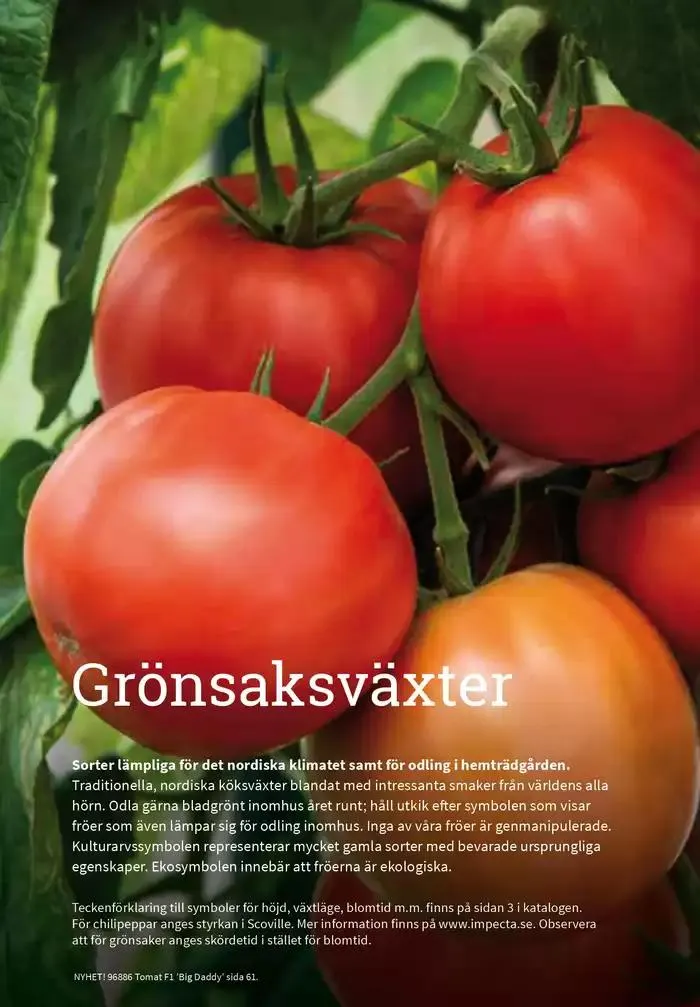 Frökatalog 2025! från 23 januari till 31 december 2025 - Reklamblad sidor 13