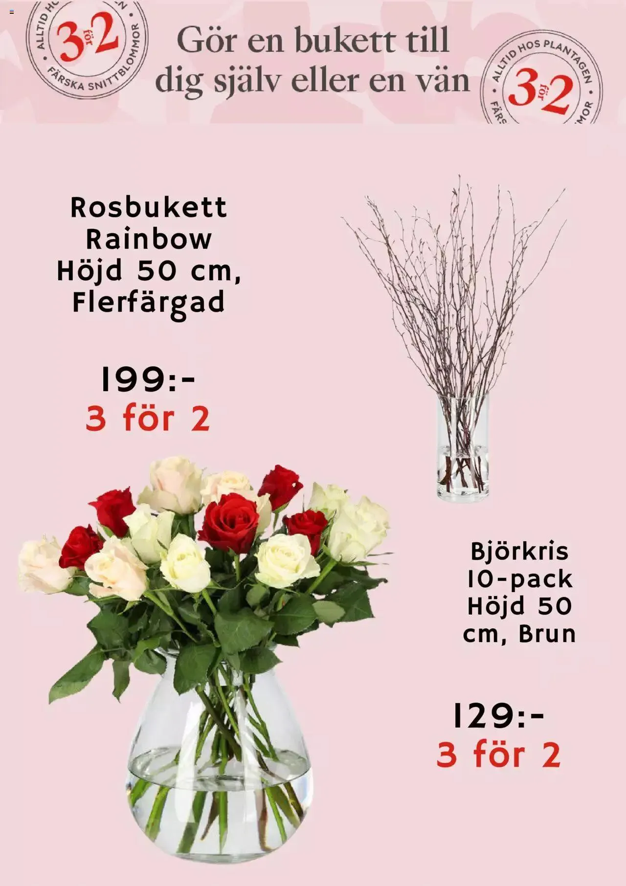 Plantagen - erbjudanden från 27 december till 4 januari 2024 - Reklamblad sidor 6