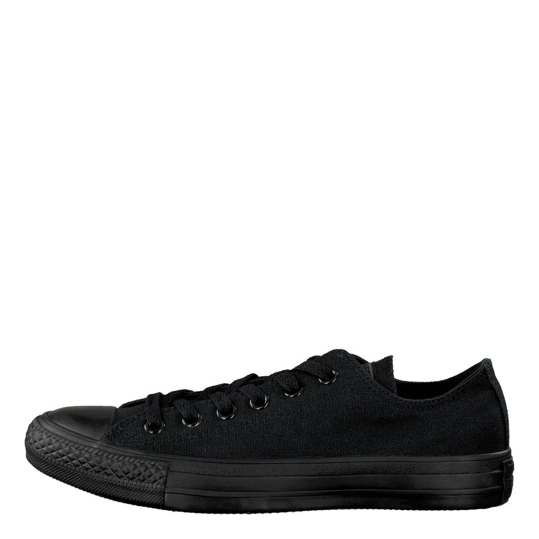 All Star Canvas Ox