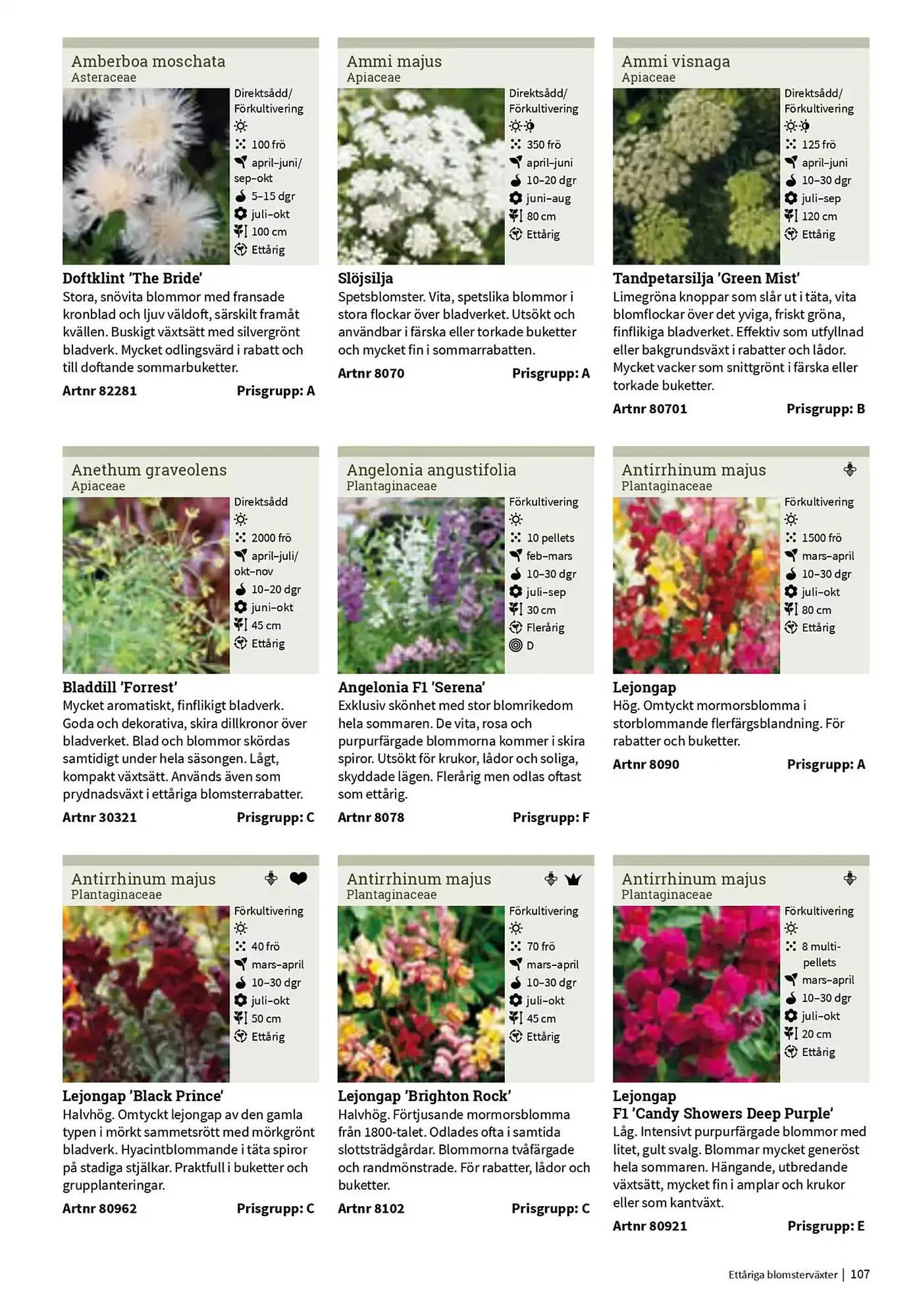 Impecta reklamblad från 23 januari till 31 december 2025 - Reklamblad sidor 107