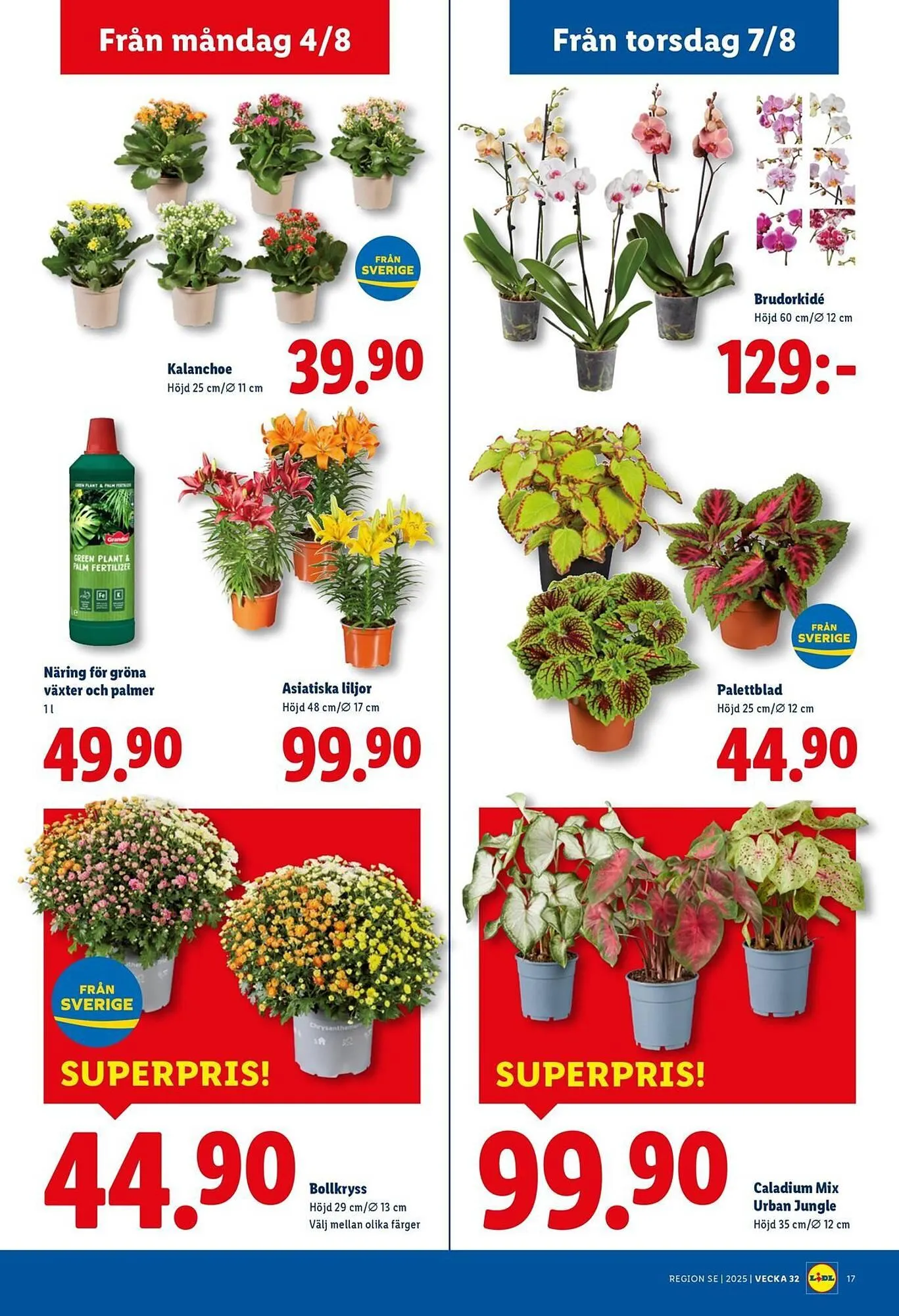 Lidl reklamblad från 4 augusti till 10 augusti 2025 - Reklamblad sidor 20