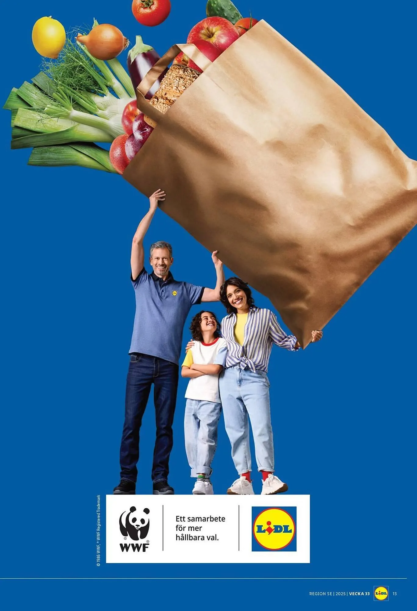 Lidl reklamblad från 11 augusti till 17 augusti 2025 - Reklamblad sidor 16