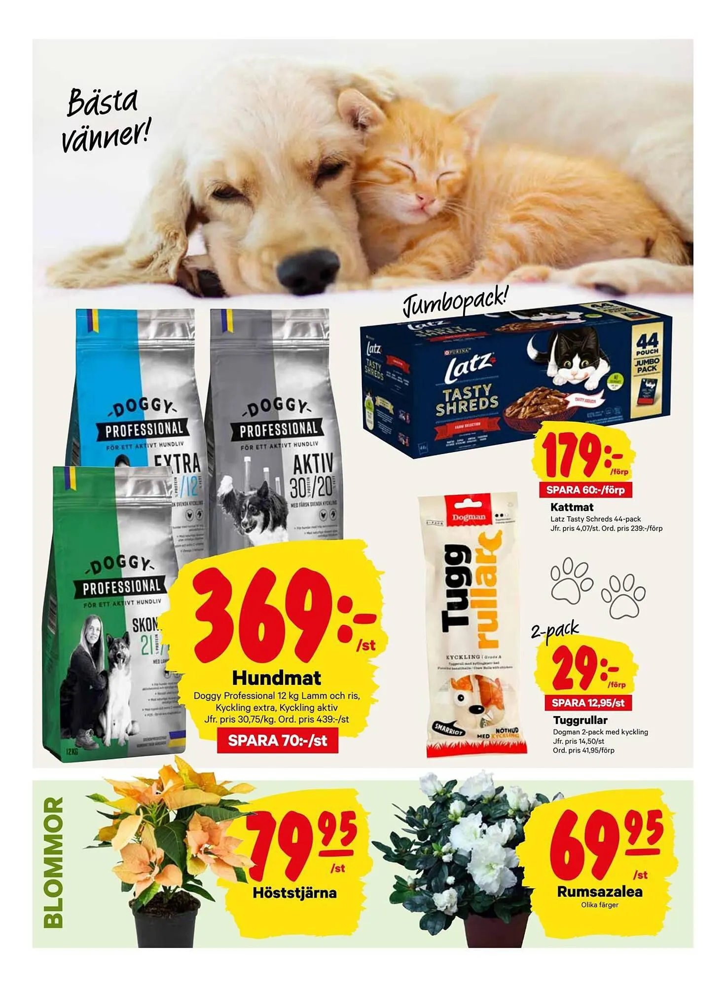 City Gross reklamblad från 1 oktober till 8 oktober 2023 - Reklamblad sidor 8