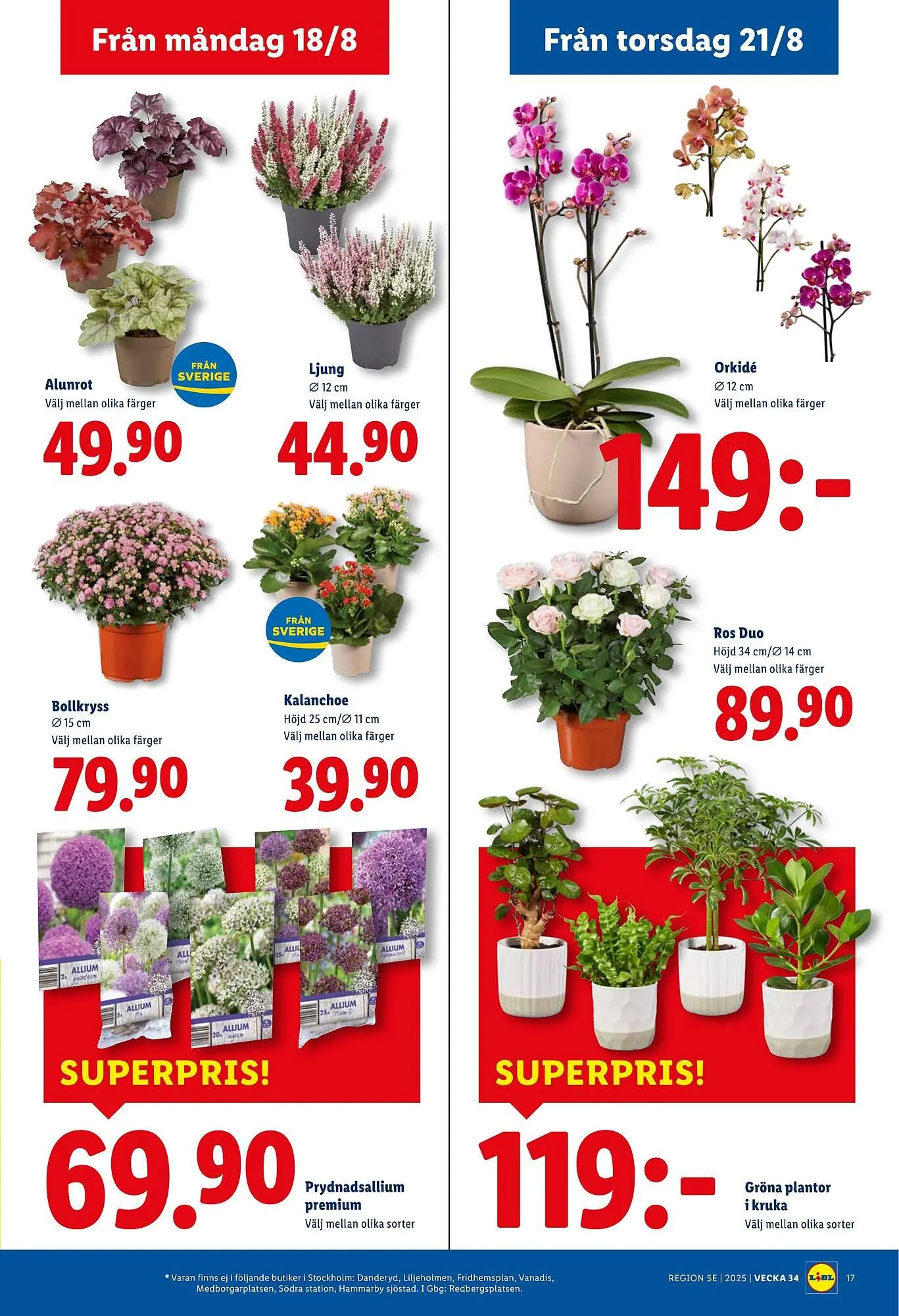Lidl reklamblad från 18 augusti till 24 augusti 2025 - Reklamblad sidor 21