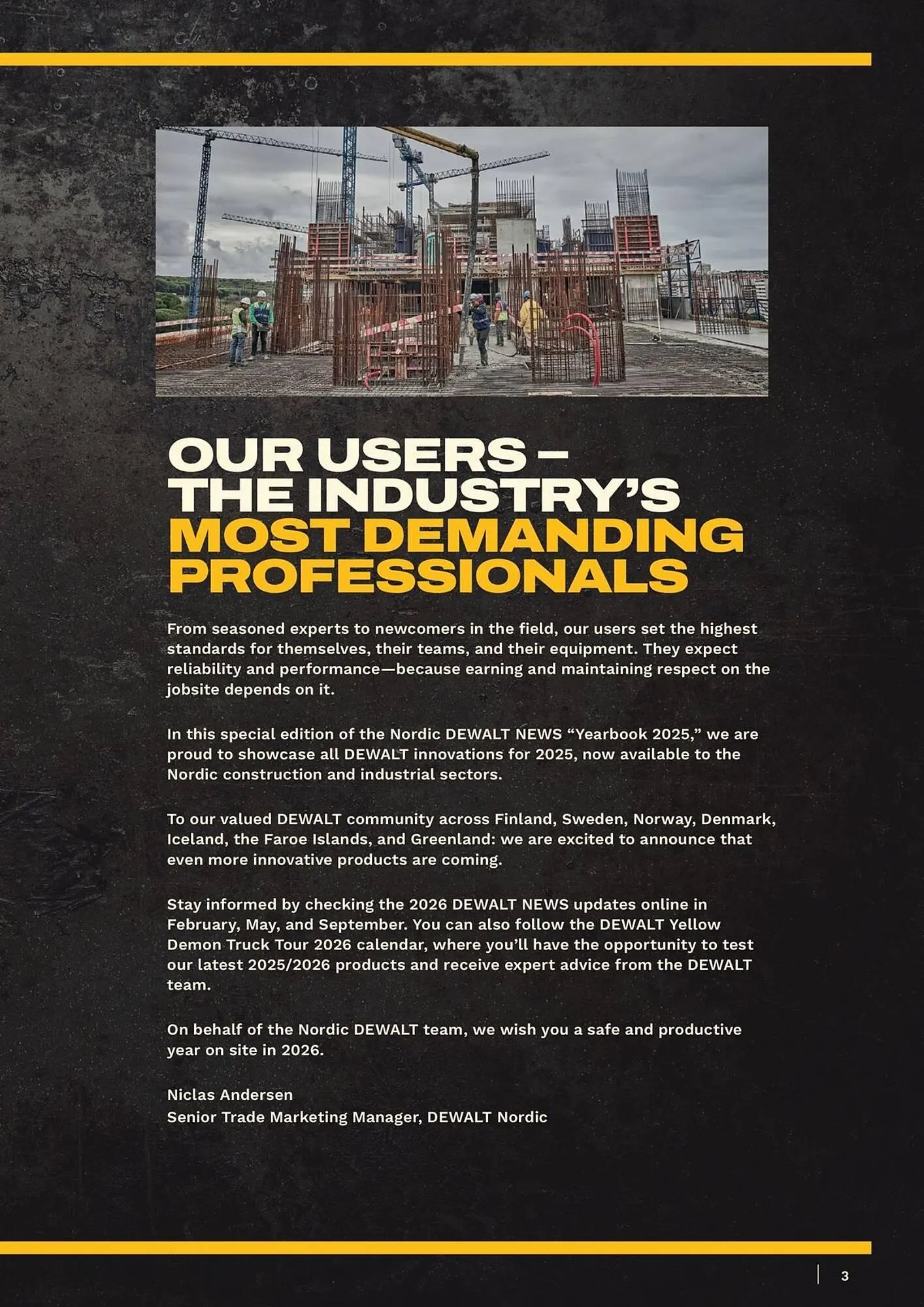 Dewalt reklamblad från 11 januari till 17 januari 2026 - Reklamblad sidor 3