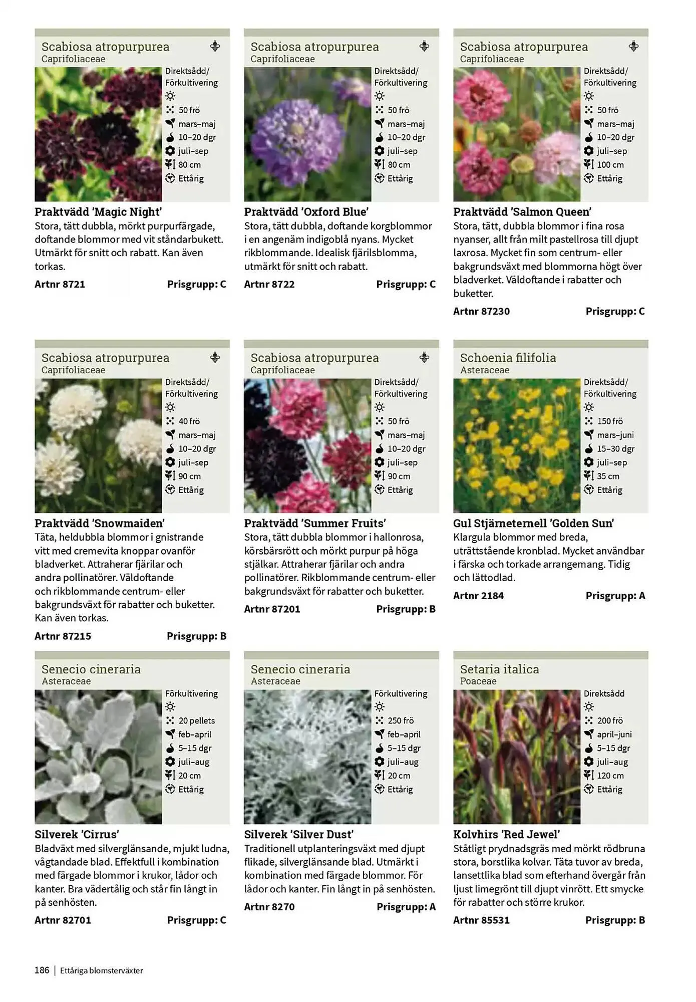 Impecta reklamblad från 23 januari till 31 december 2025 - Reklamblad sidor 186