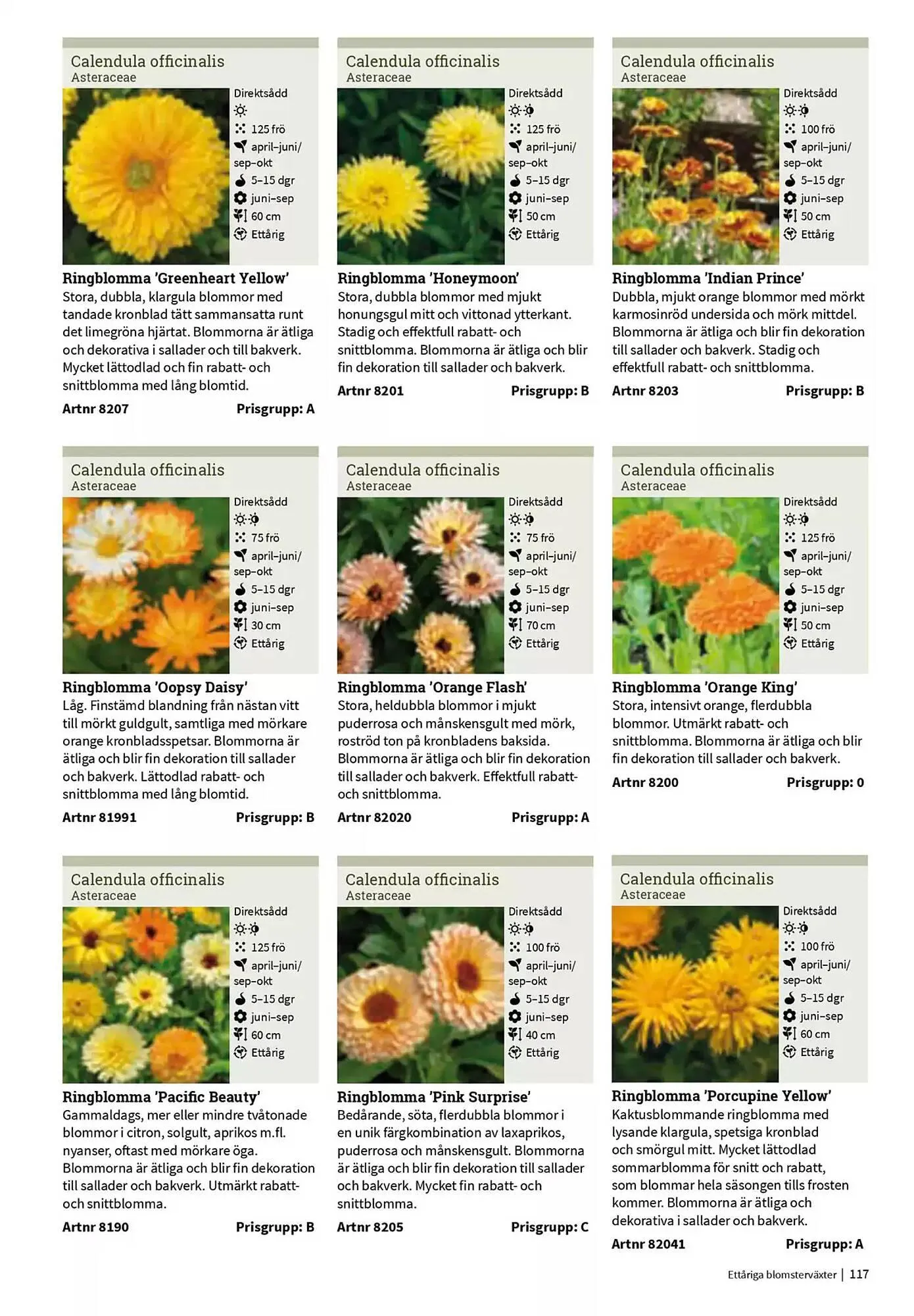 Impecta reklamblad från 23 januari till 31 december 2025 - Reklamblad sidor 117