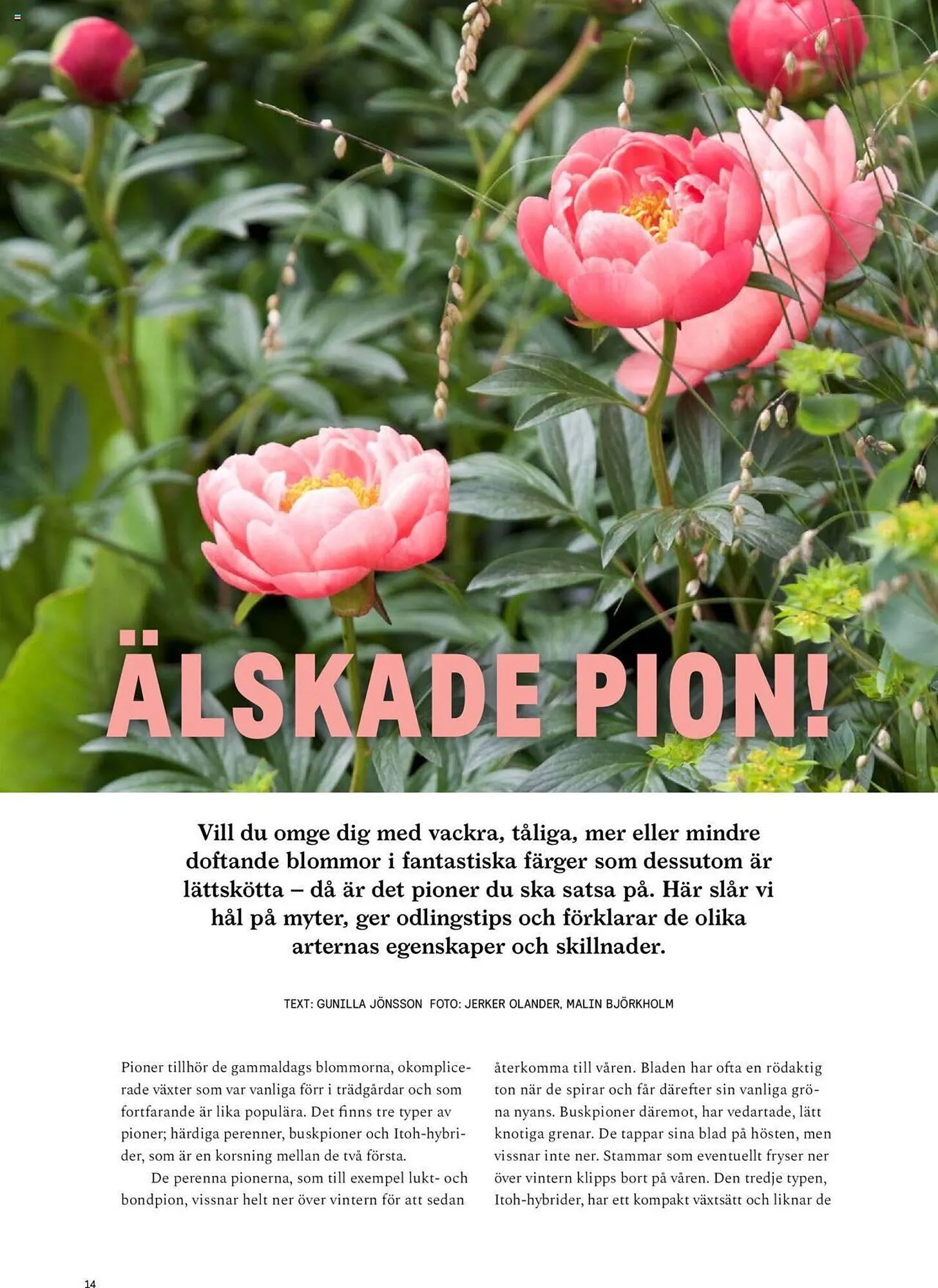 Blomsterlandet reklamblad från 13 maj till 26 maj 2024 - Reklamblad sidor 14