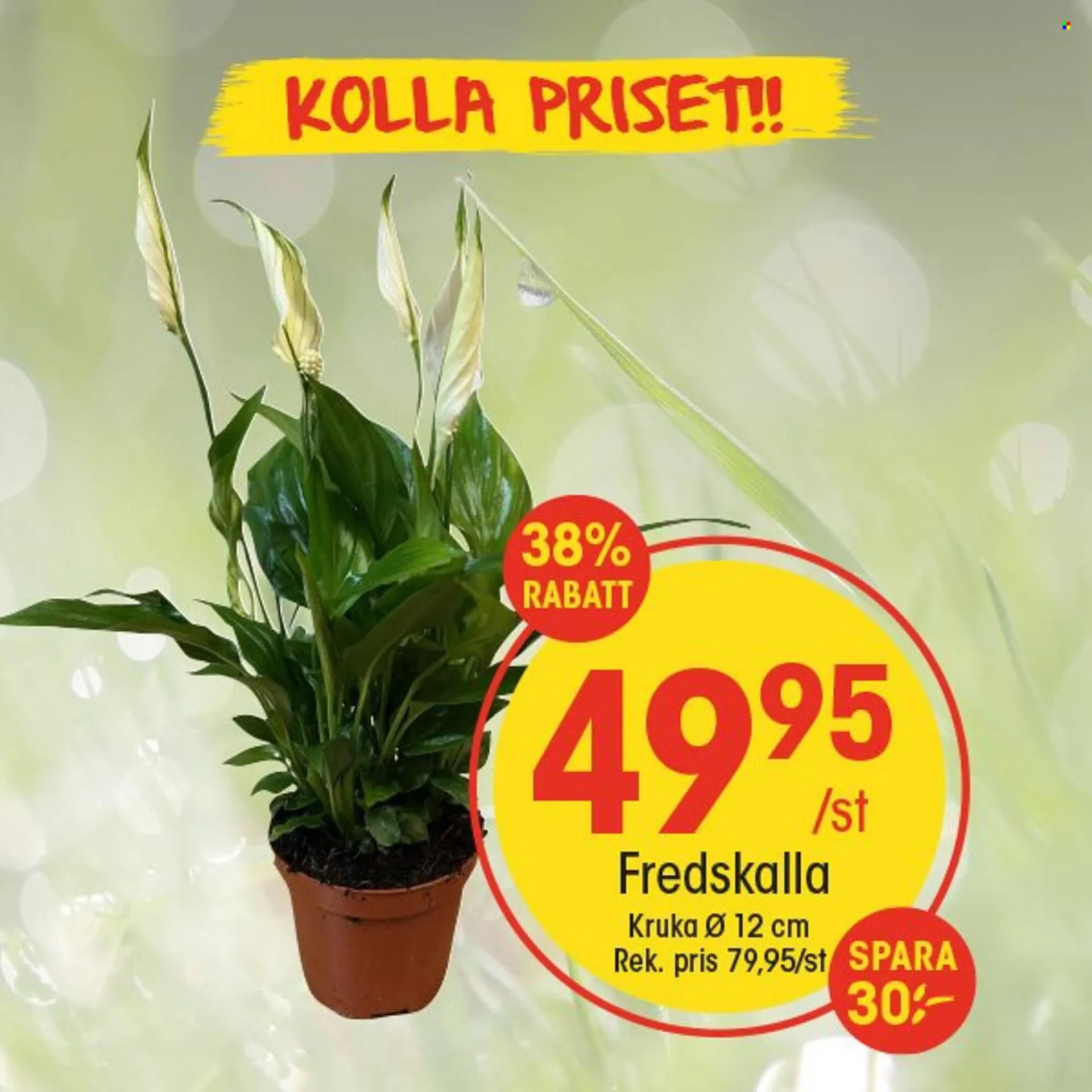 EKO reklamblad från 30 augusti till 7 september 2025 - Reklamblad sidor 4