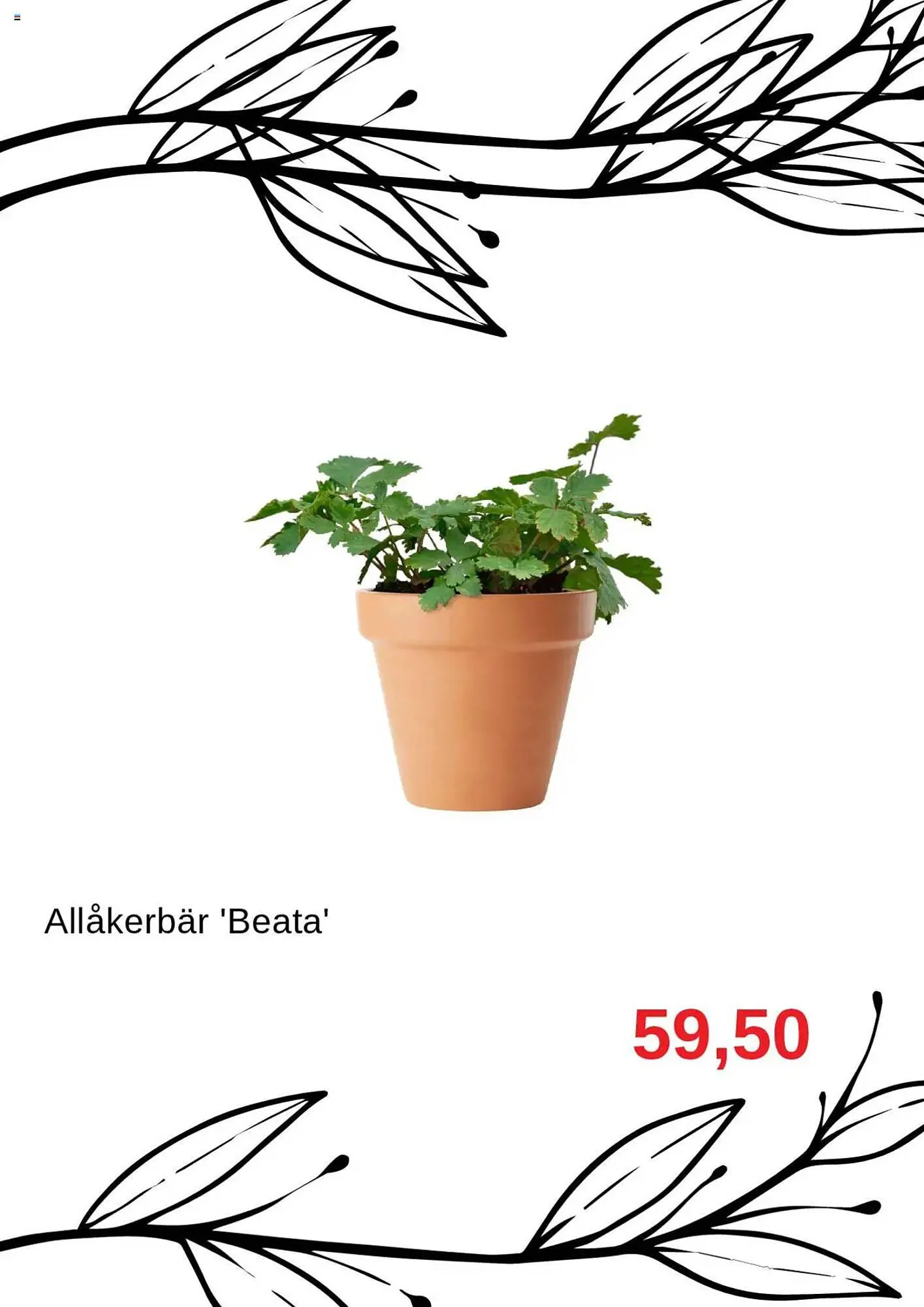 Granngården kampanjblad från 1 oktober till 31 oktober 2025 - Reklamblad sidor 4