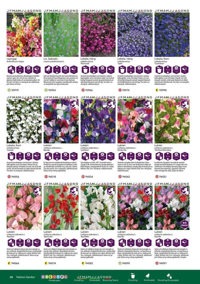Nelson Gardens frökatalog 2024 är här! från 6 mars till 31 december 2024 - Reklamblad sidor 38