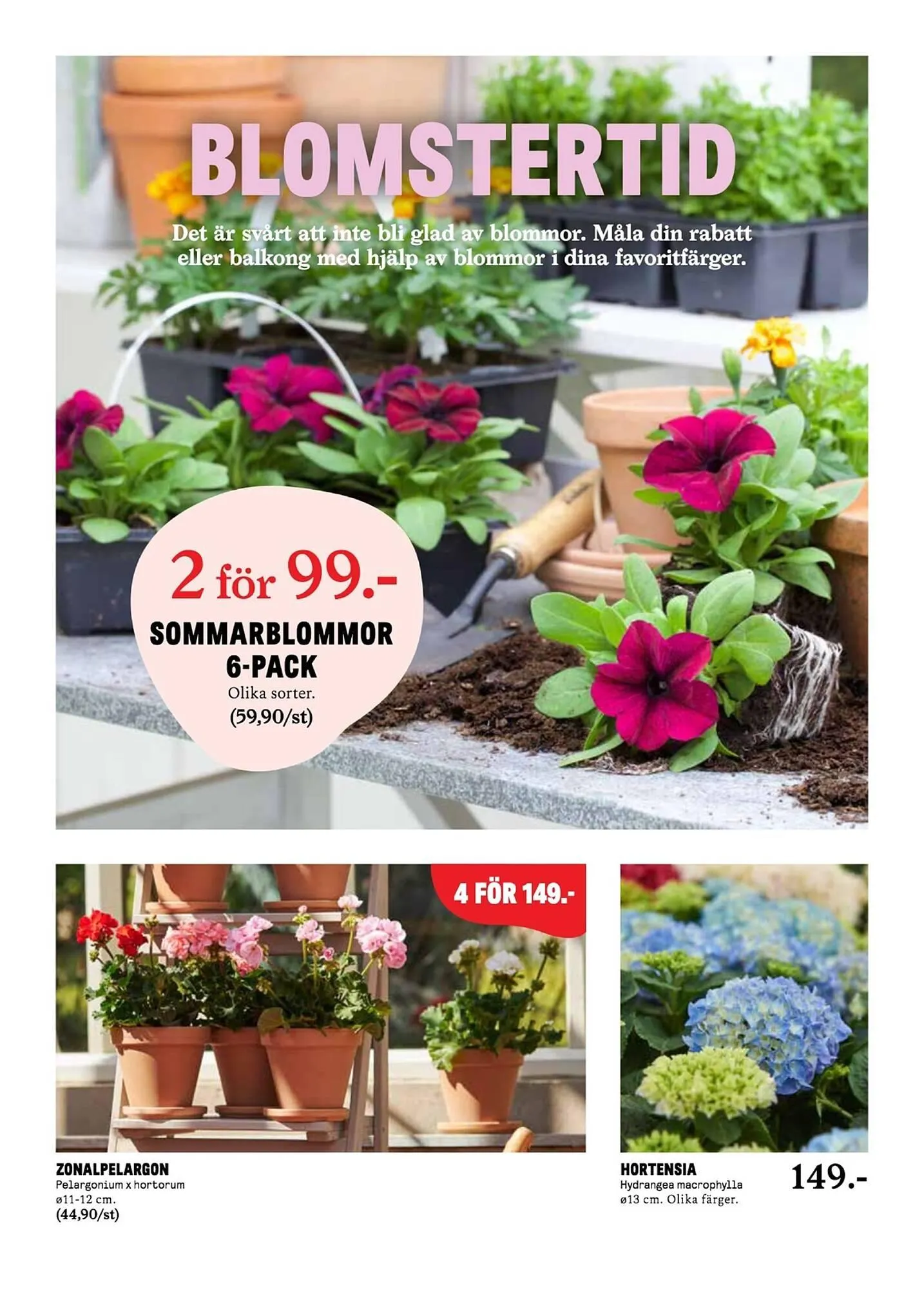 Blomsterlandet reklamblad från 26 maj till 1 juni 2025 - Reklamblad sidor 2